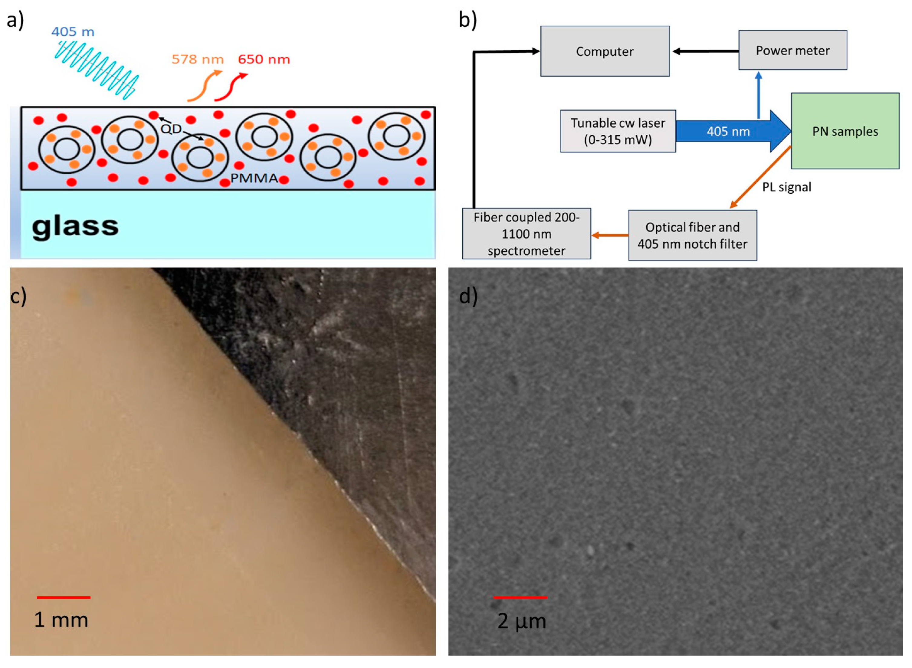 Coatings 14 00634 g001