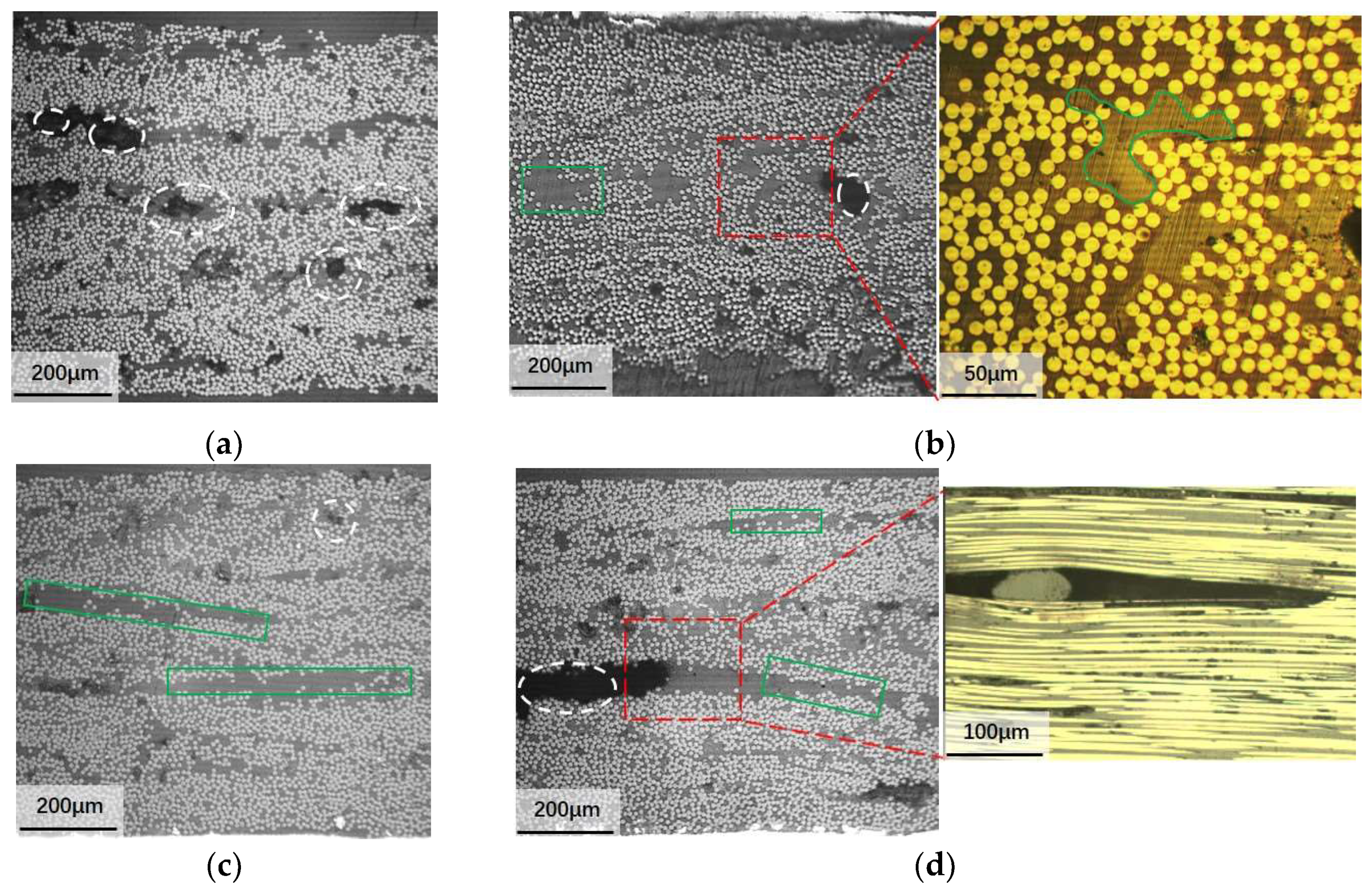 Coatings 14 00635 g009