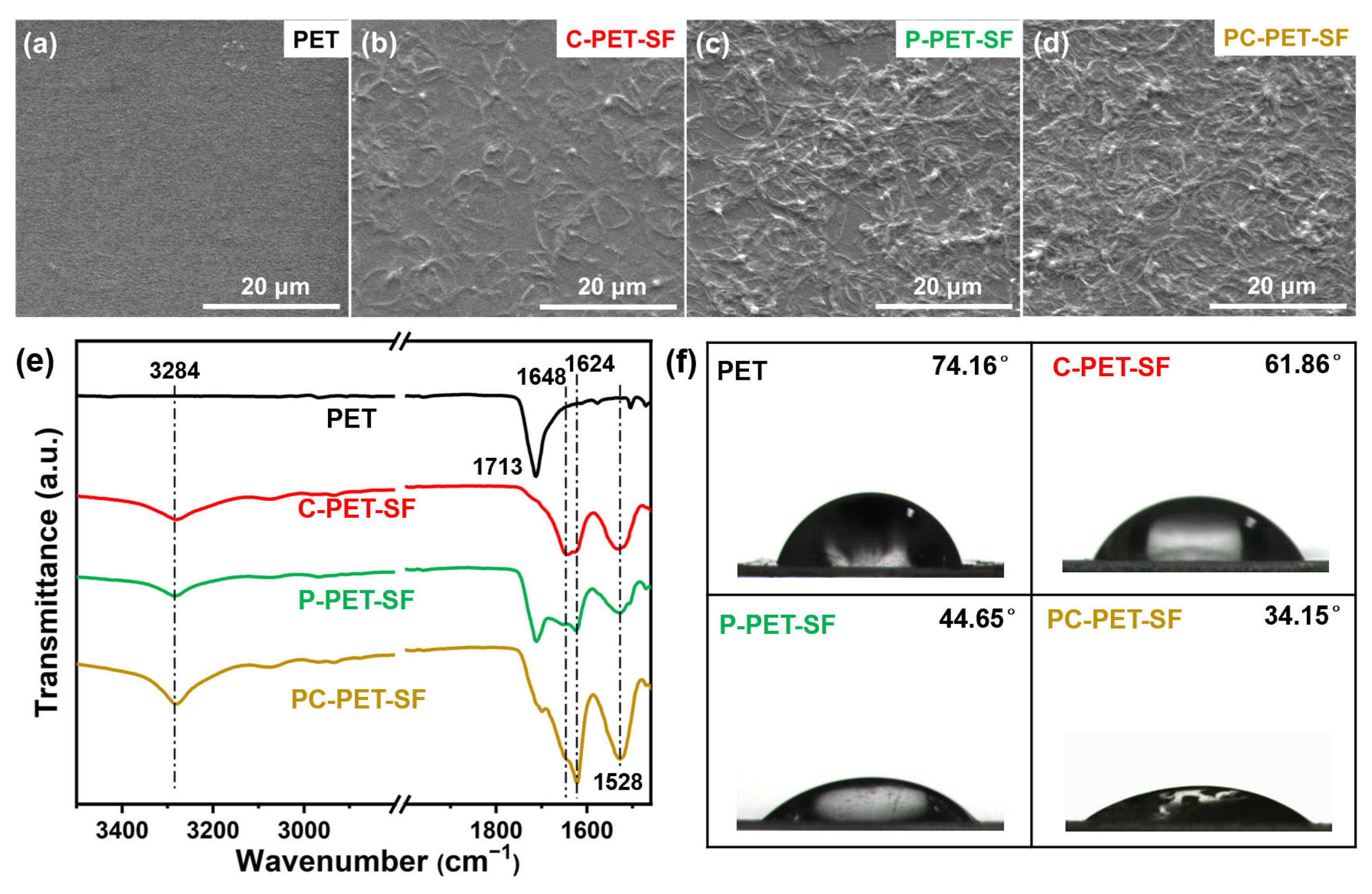 Coatings 14 00636 g002