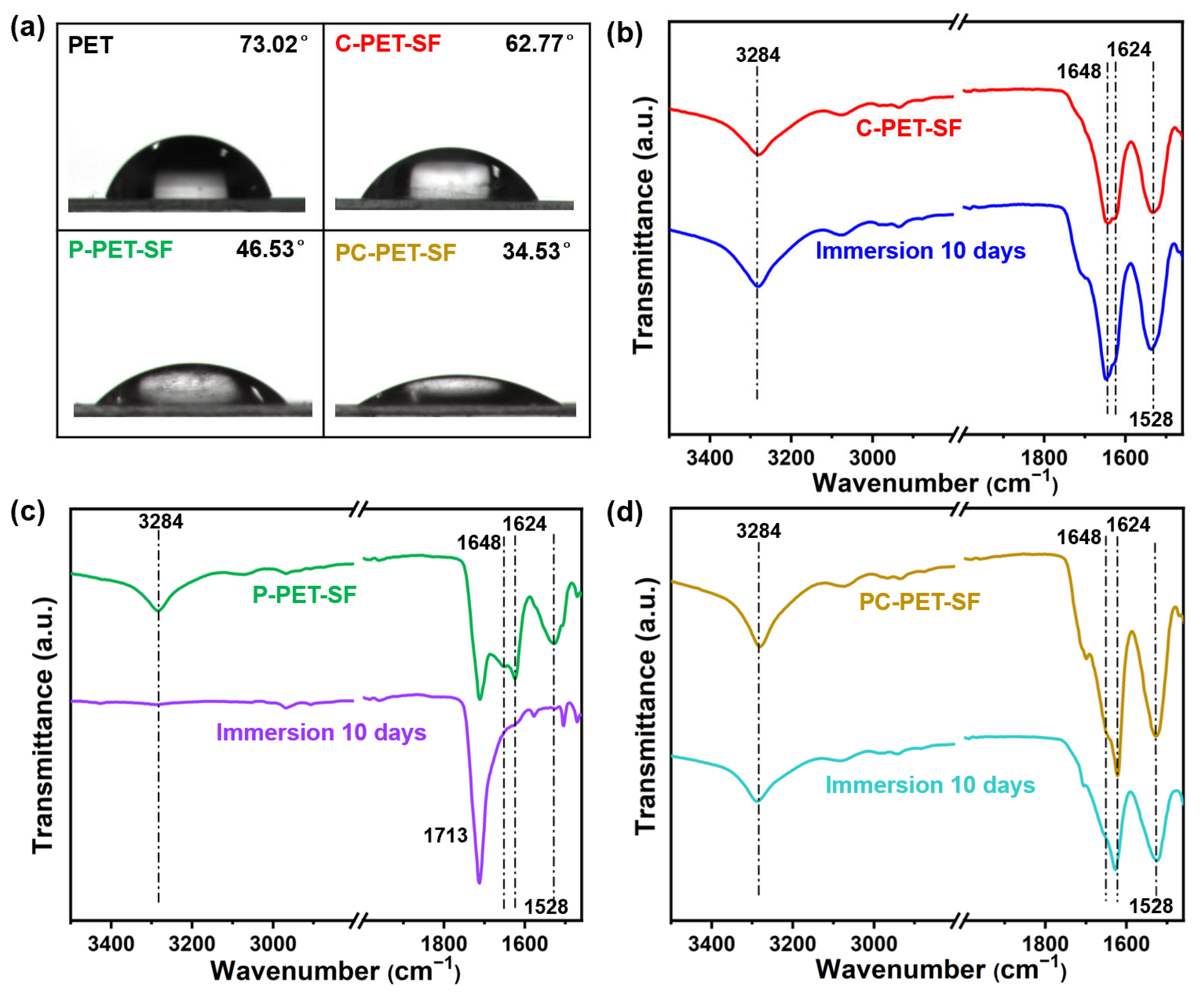 Coatings 14 00636 g004
