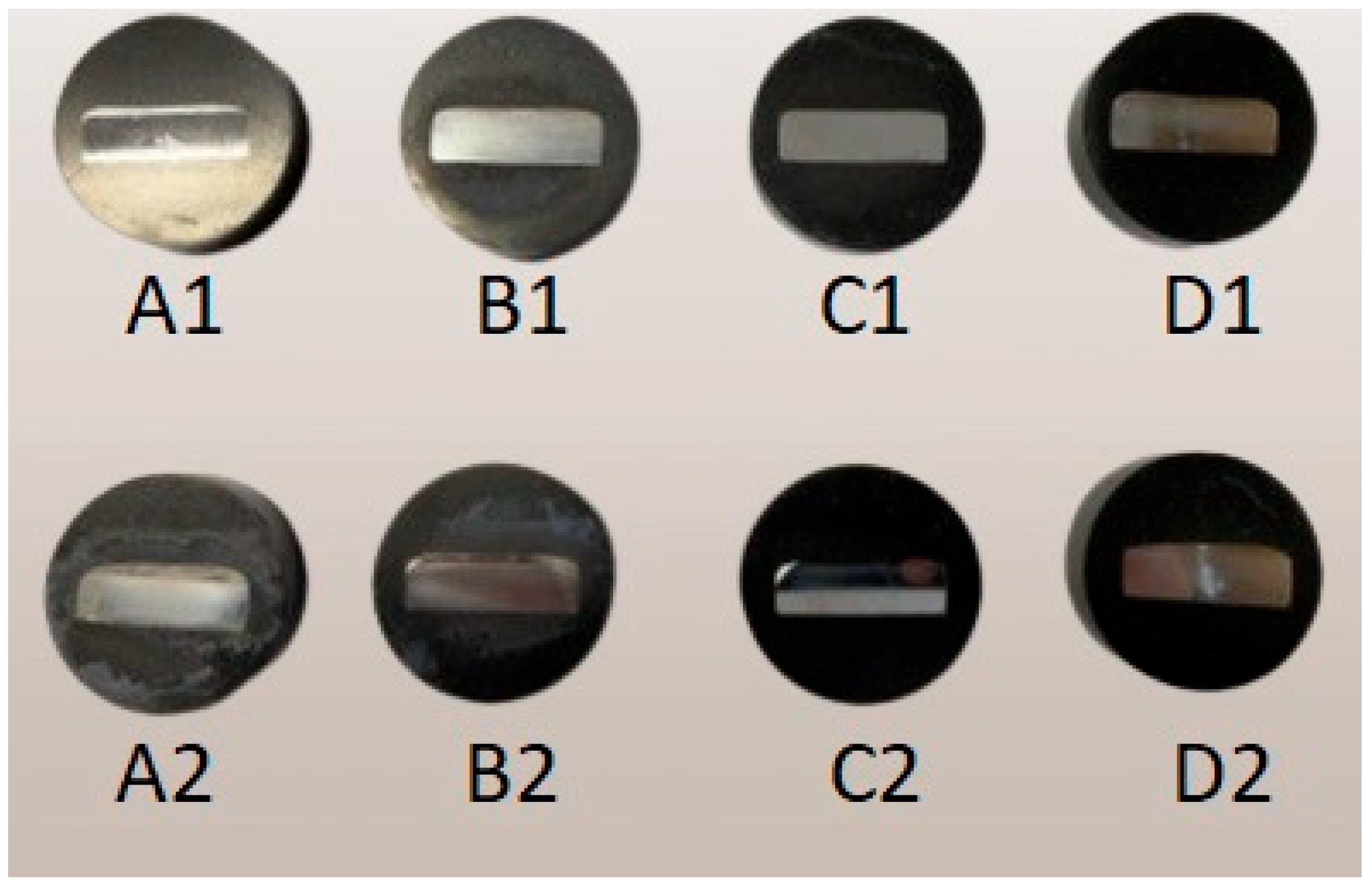 Coatings 14 00637 g009