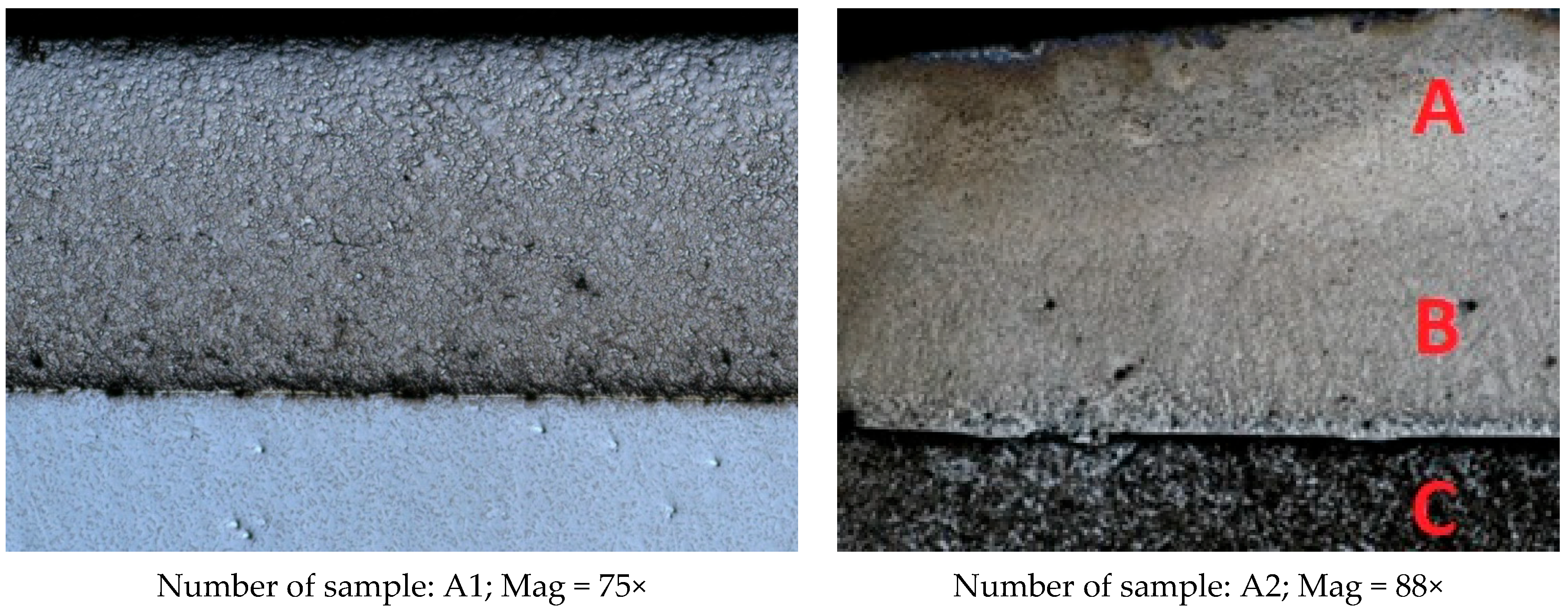 Coatings 14 00637 g011