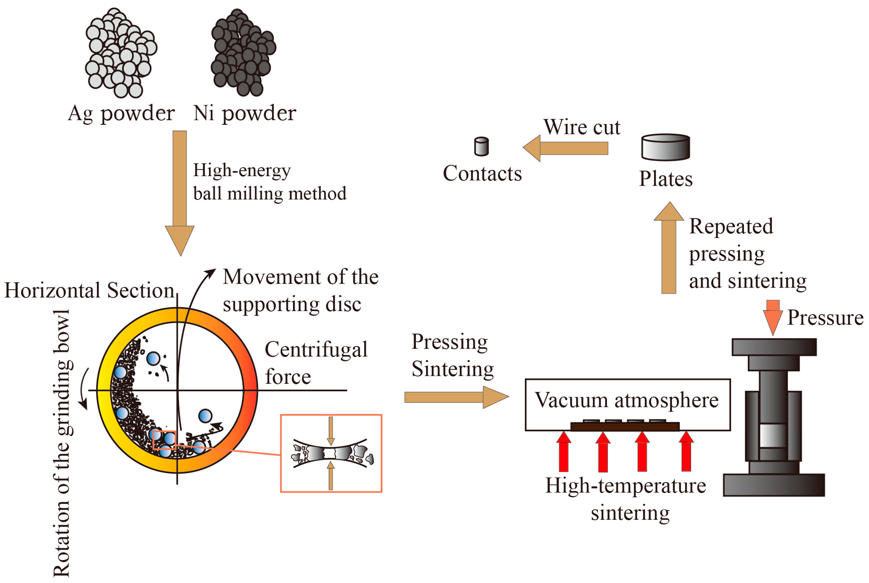 Coatings 14 00638 g003