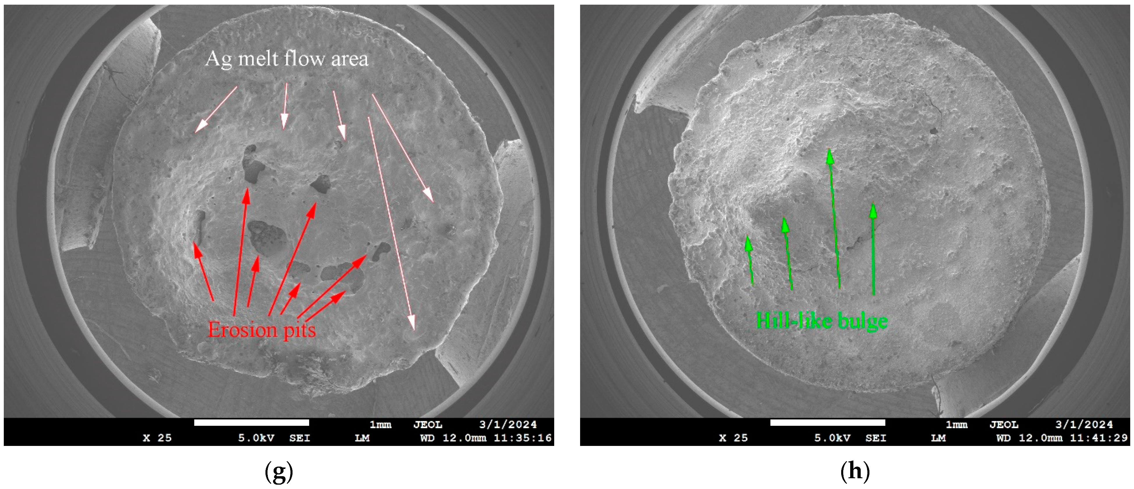 Coatings 14 00638 g010b