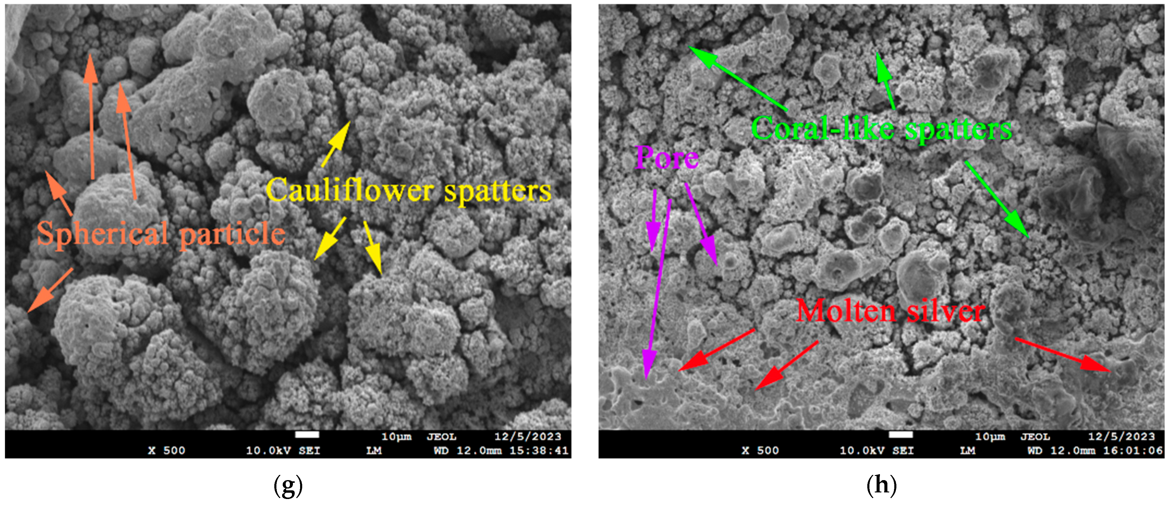 Coatings 14 00638 g012b