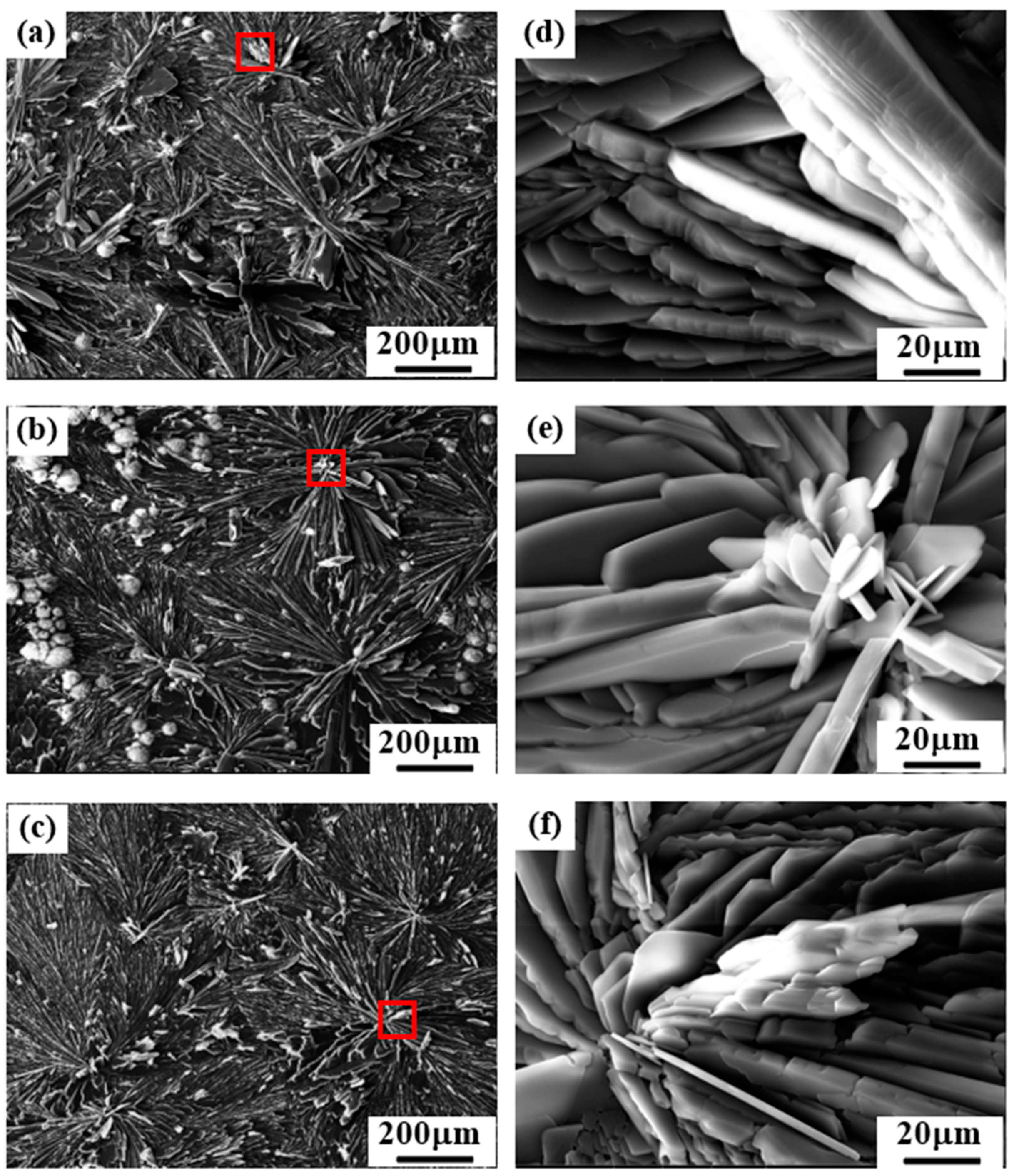 Coatings 14 00641 g002 Coatings 14 00641 g002