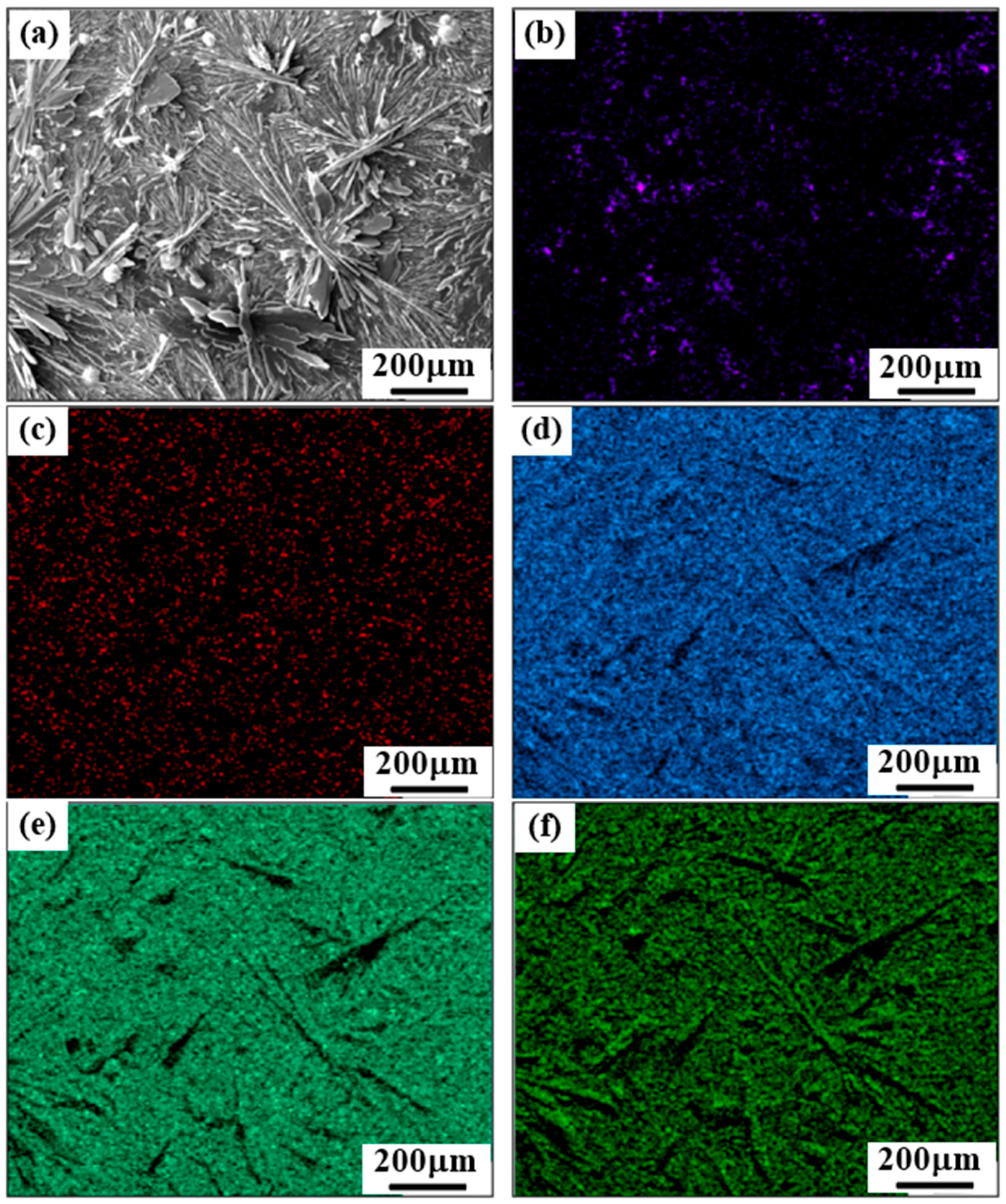 Coatings 14 00641 g003 Coatings 14 00641 g003