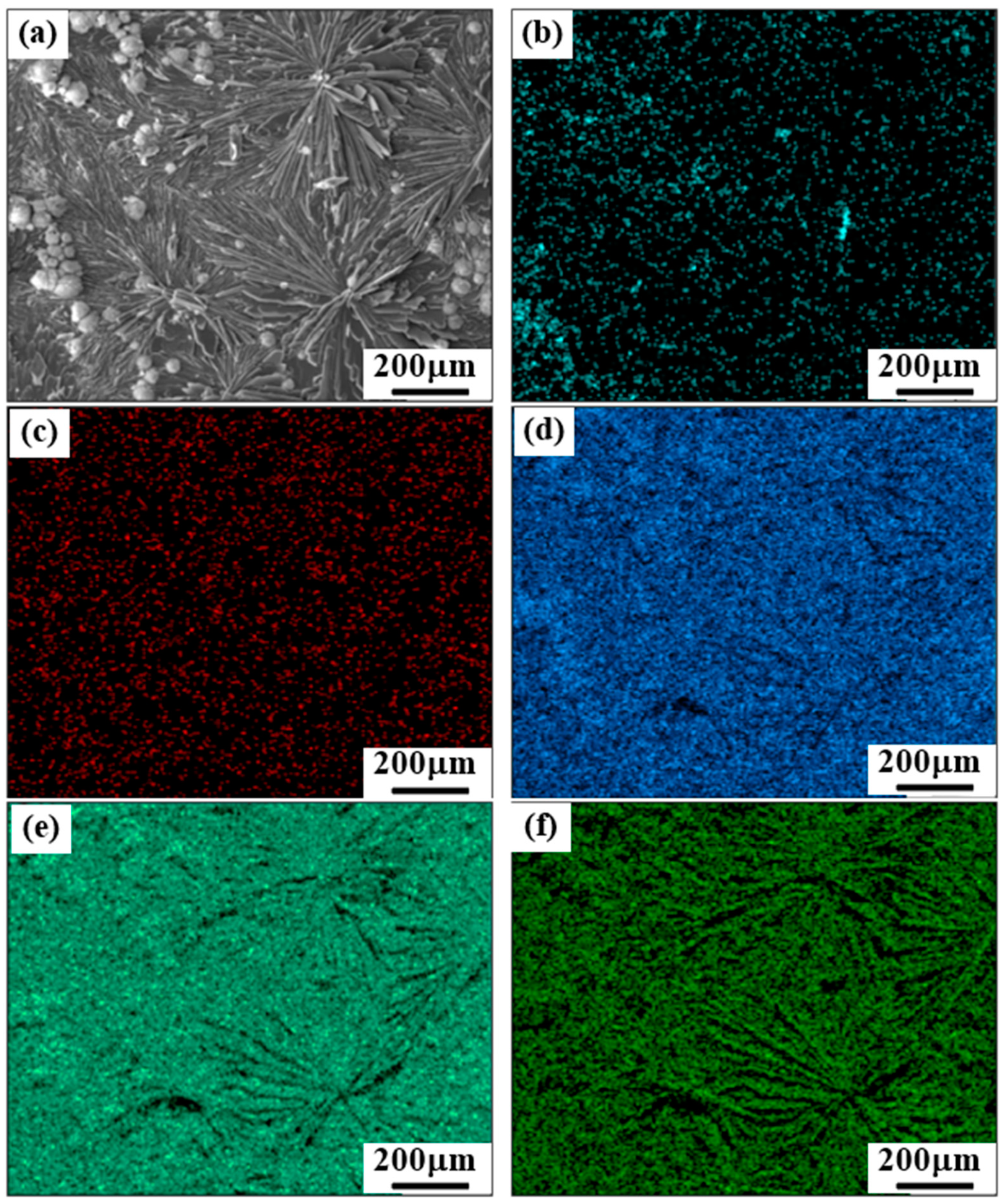 Coatings 14 00641 g004 Coatings 14 00641 g004