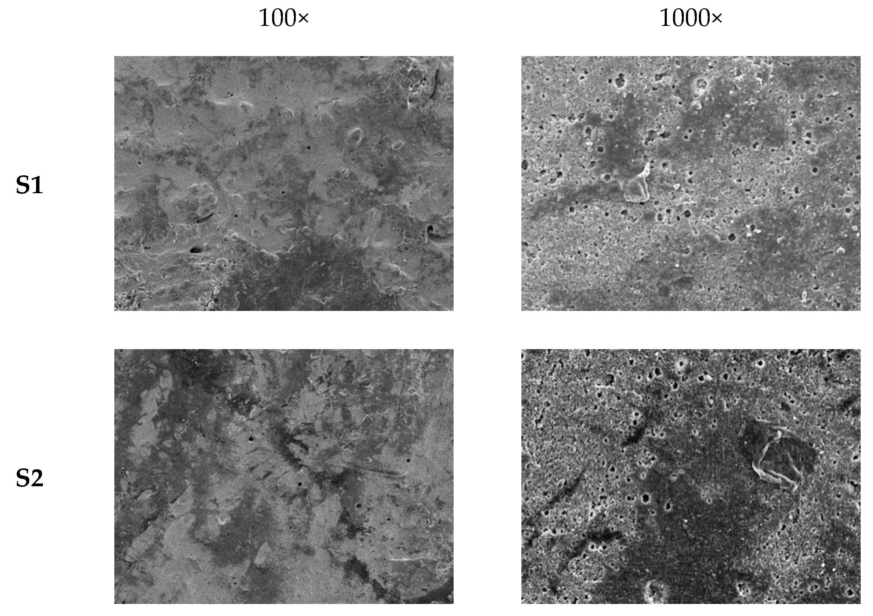 Coatings 14 00642 g004a