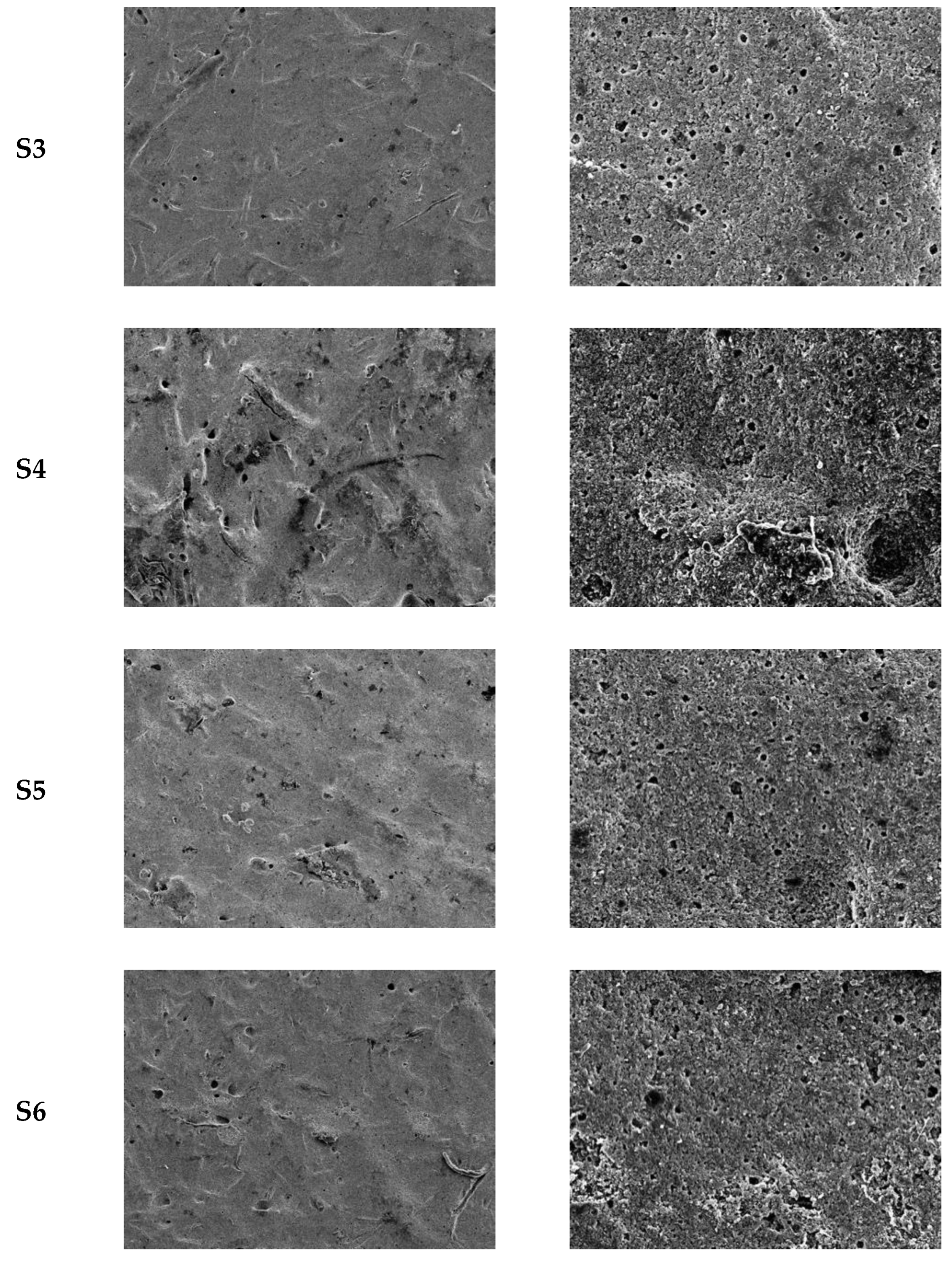 Coatings 14 00642 g004b