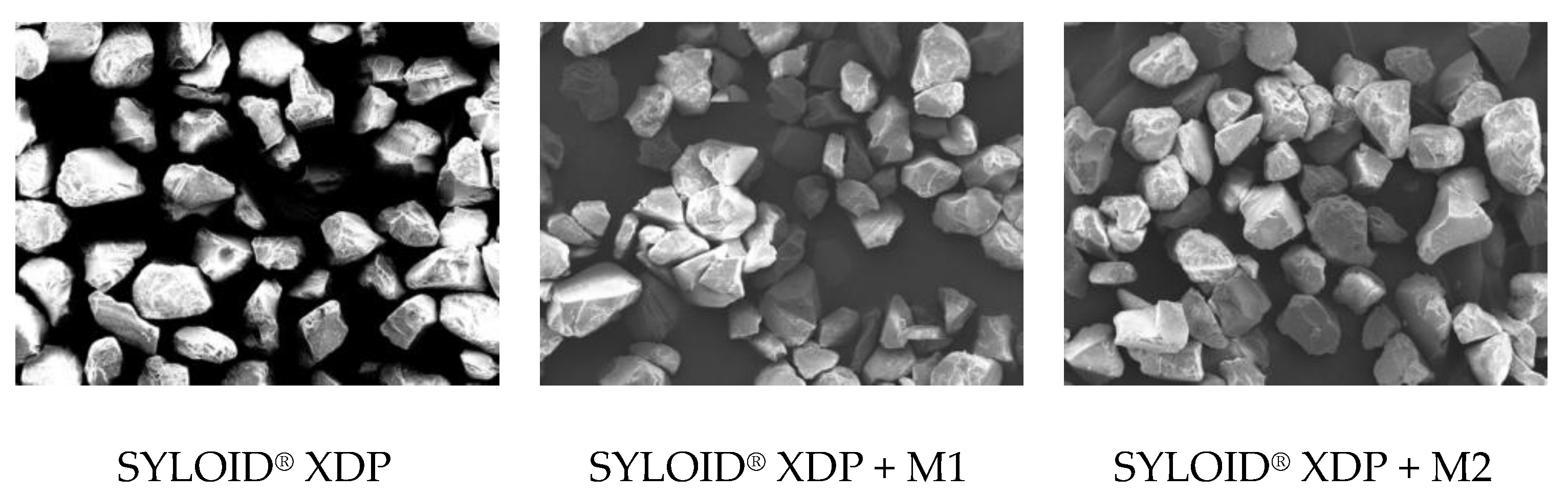 Coatings 14 00642 g006