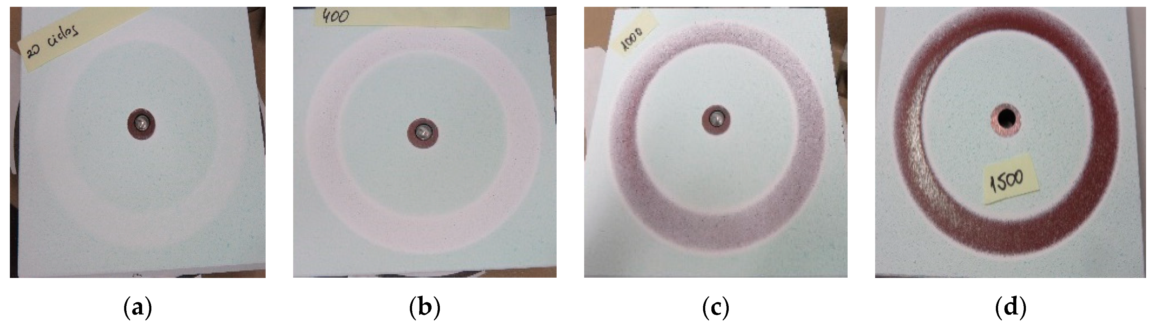 Coatings 14 00643 g015 Coatings 14 00643 g015