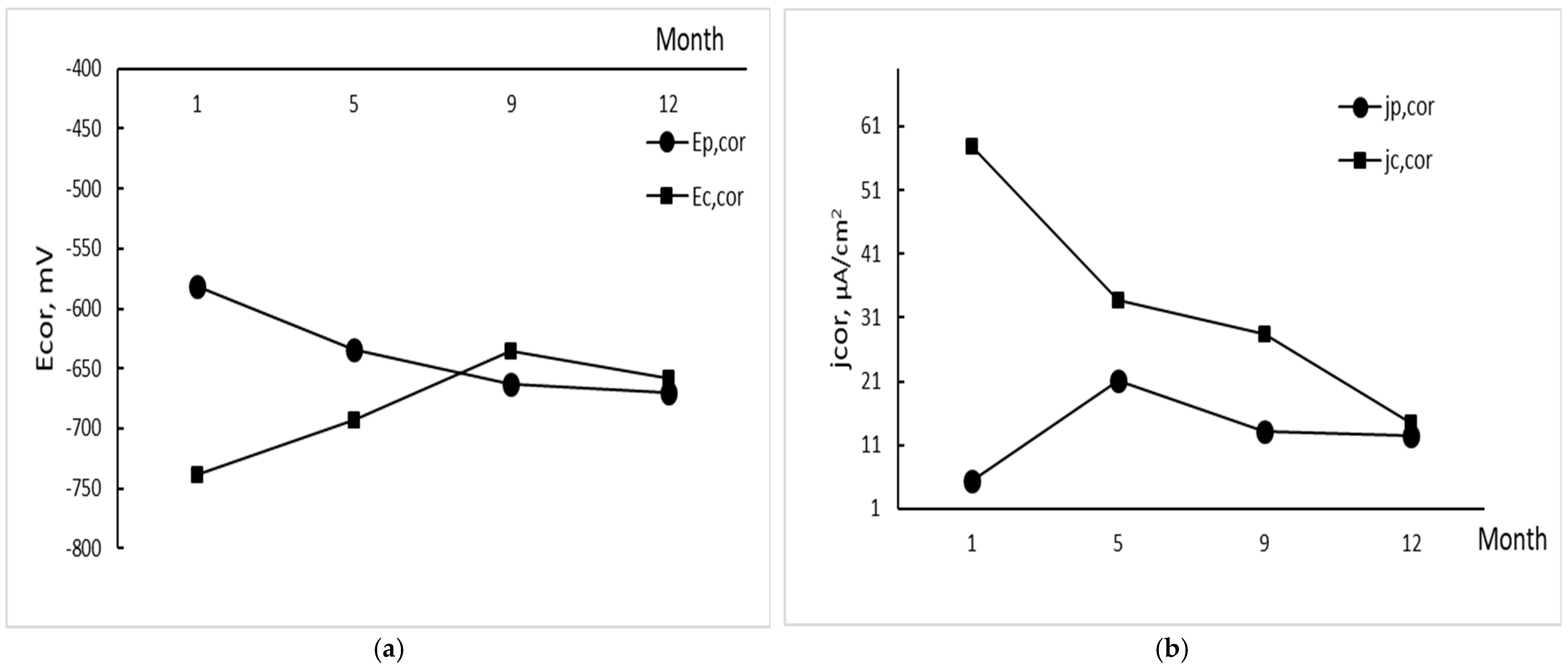 Coatings 14 00644 g004
