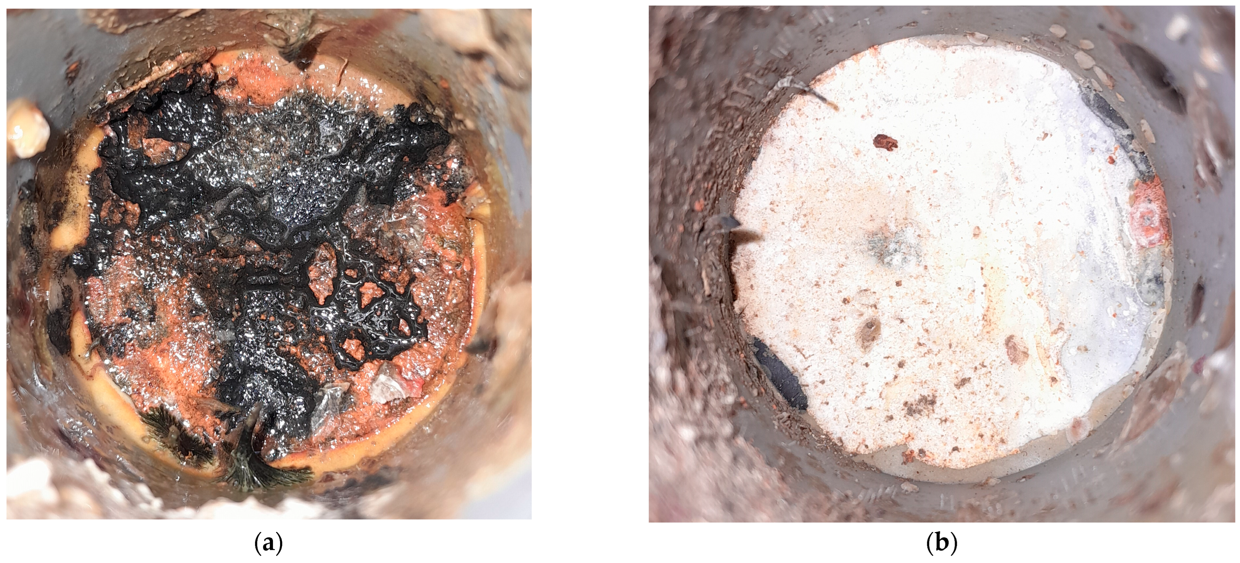 Coatings 14 00644 g005