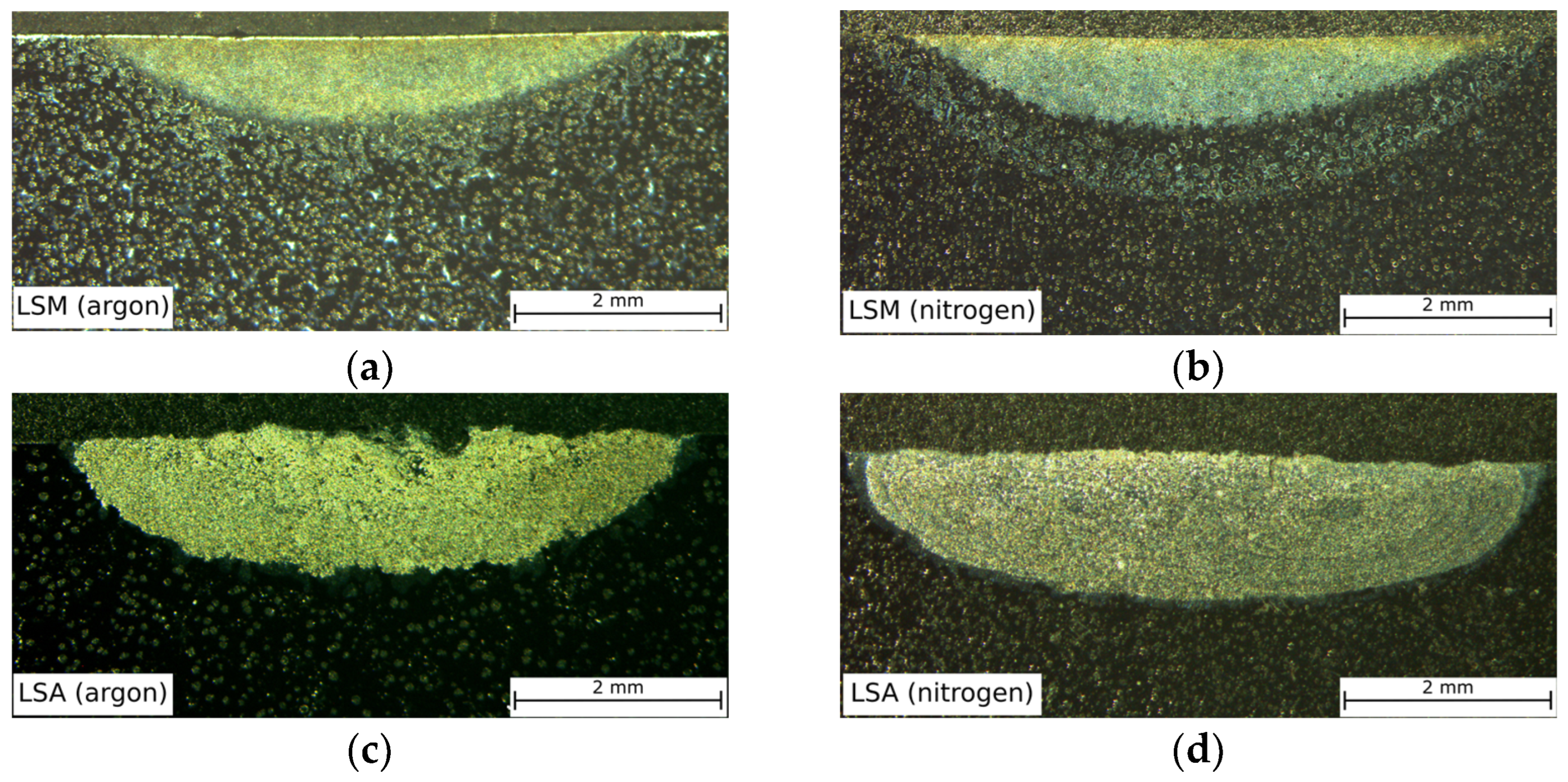 Coatings 14 00646 g004