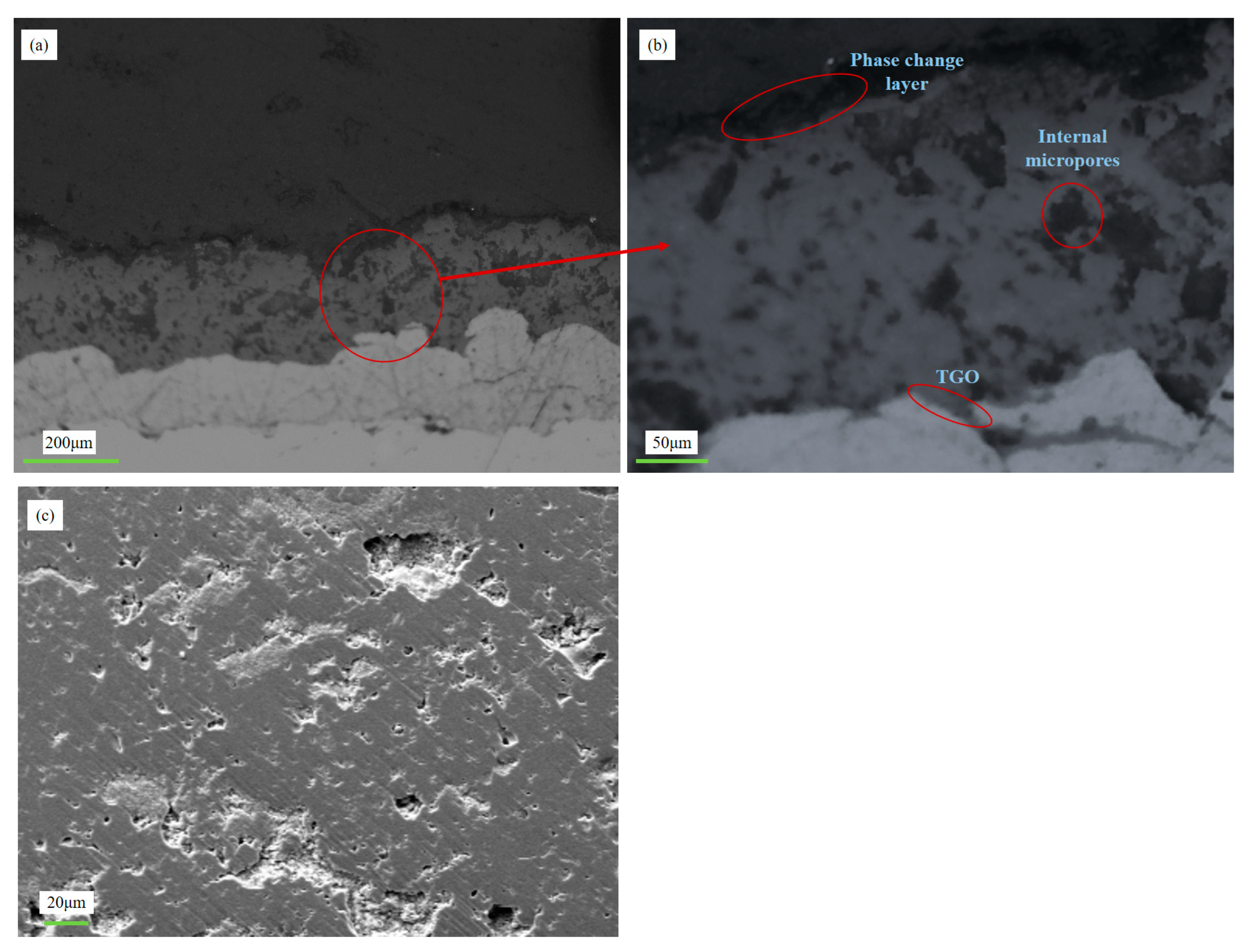 Coatings 14 00647 g004