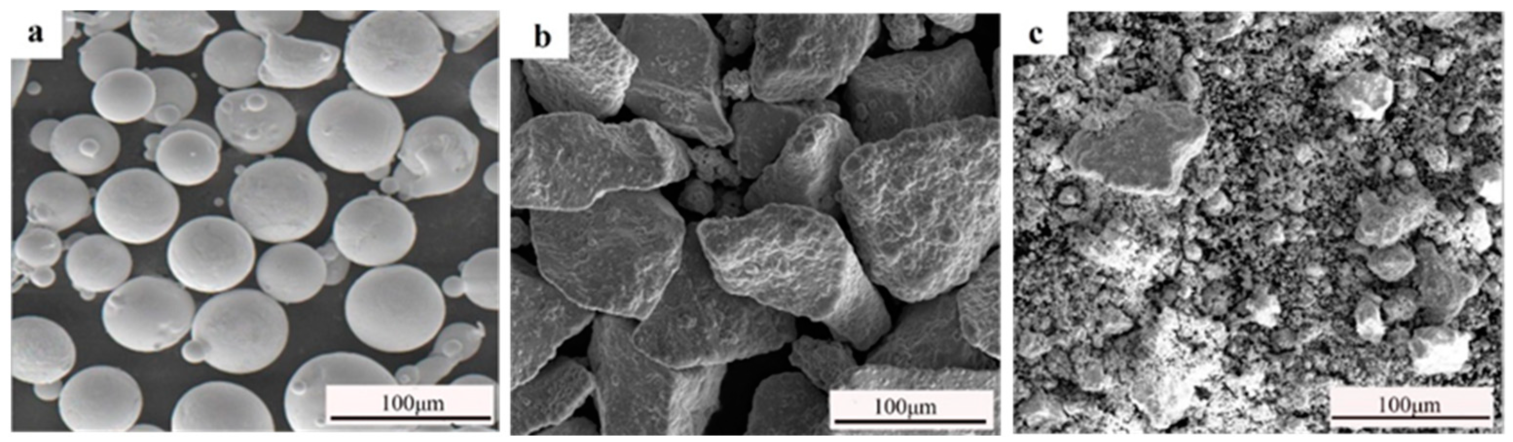 Coatings 14 00649 g001
