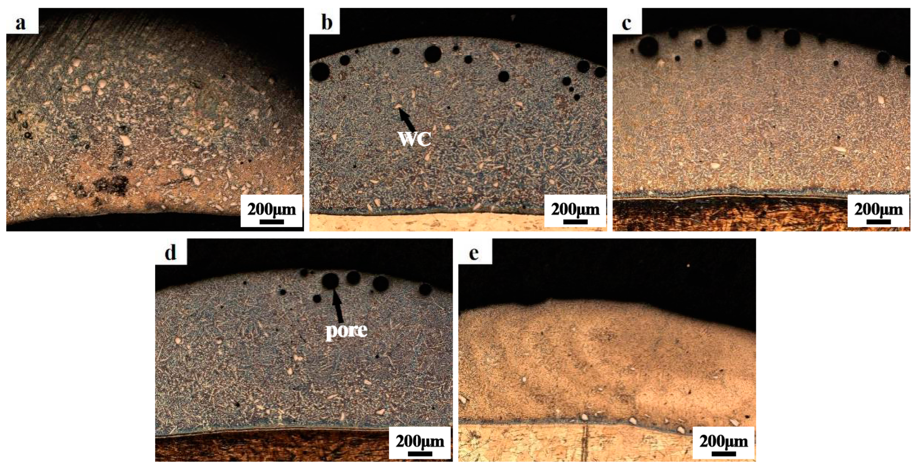 Coatings 14 00649 g003
