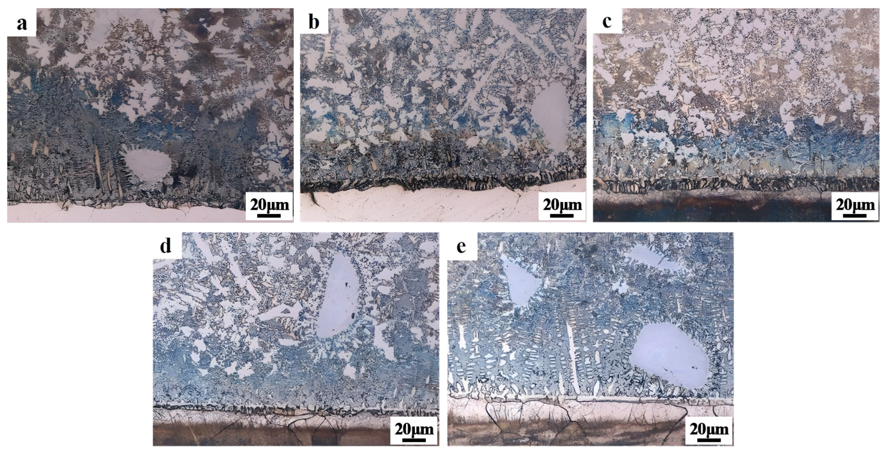 Coatings 14 00649 g006