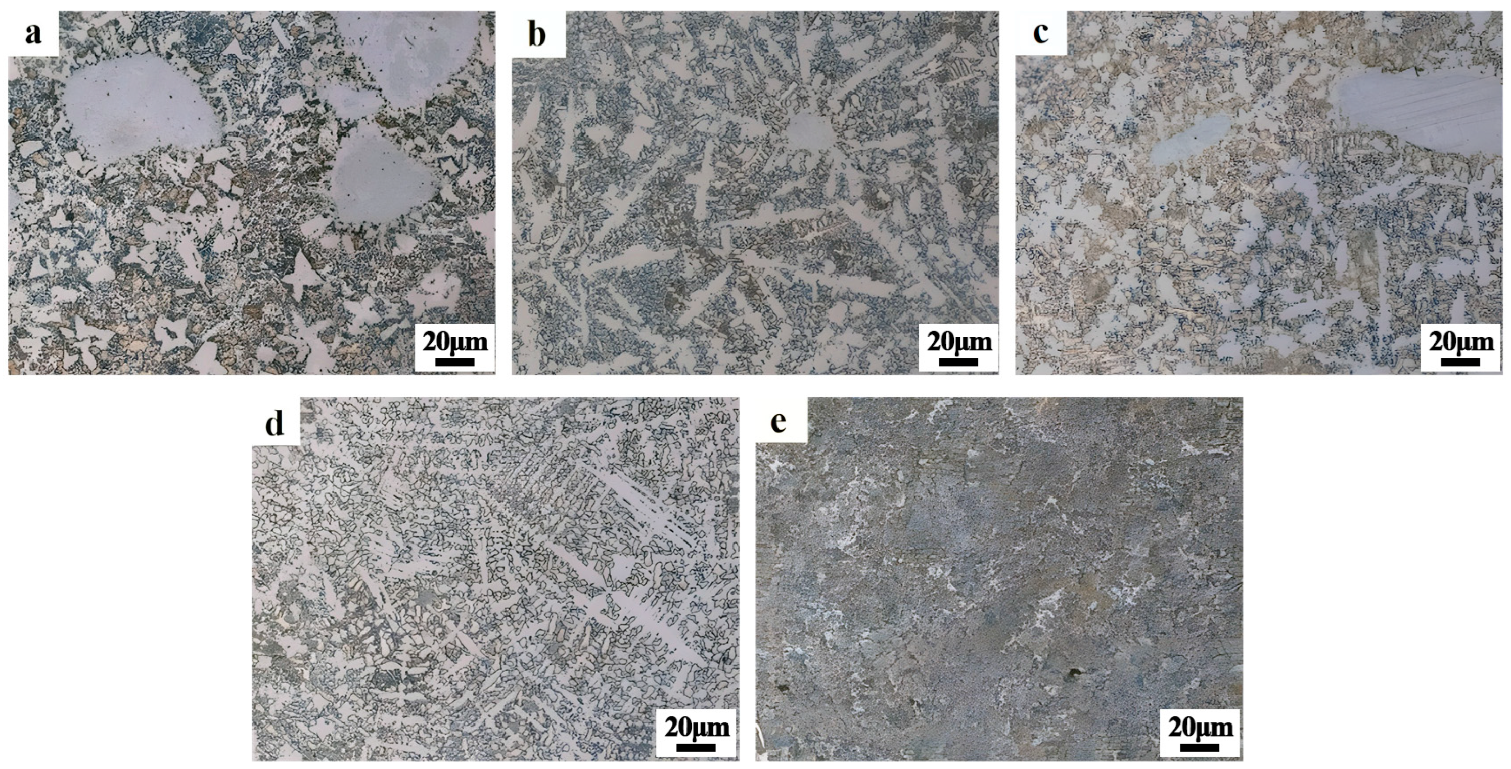 Coatings 14 00649 g007