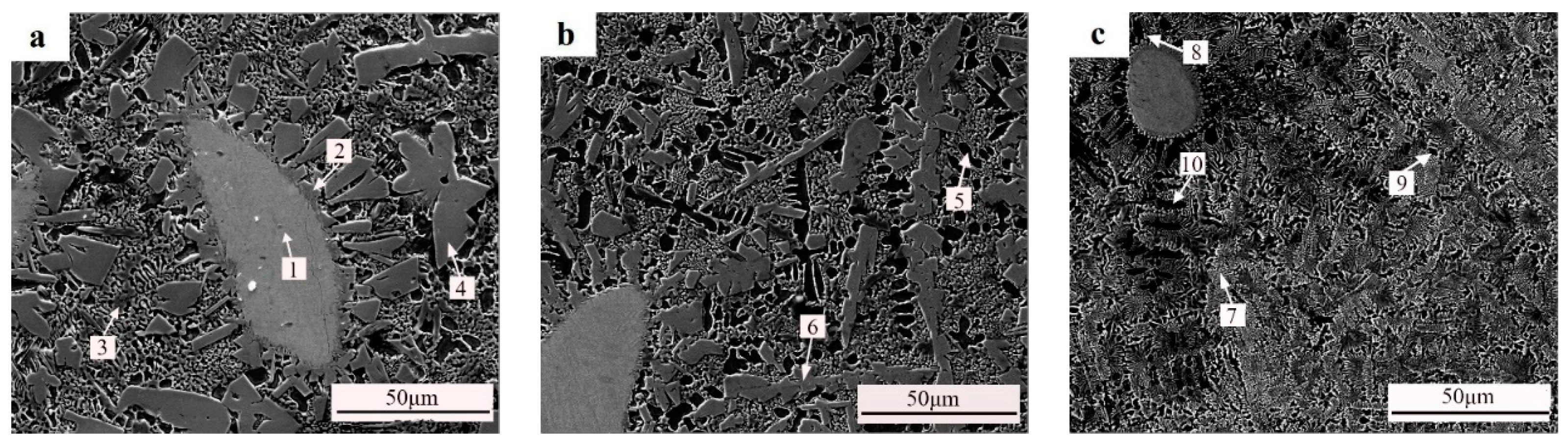 Coatings 14 00649 g008