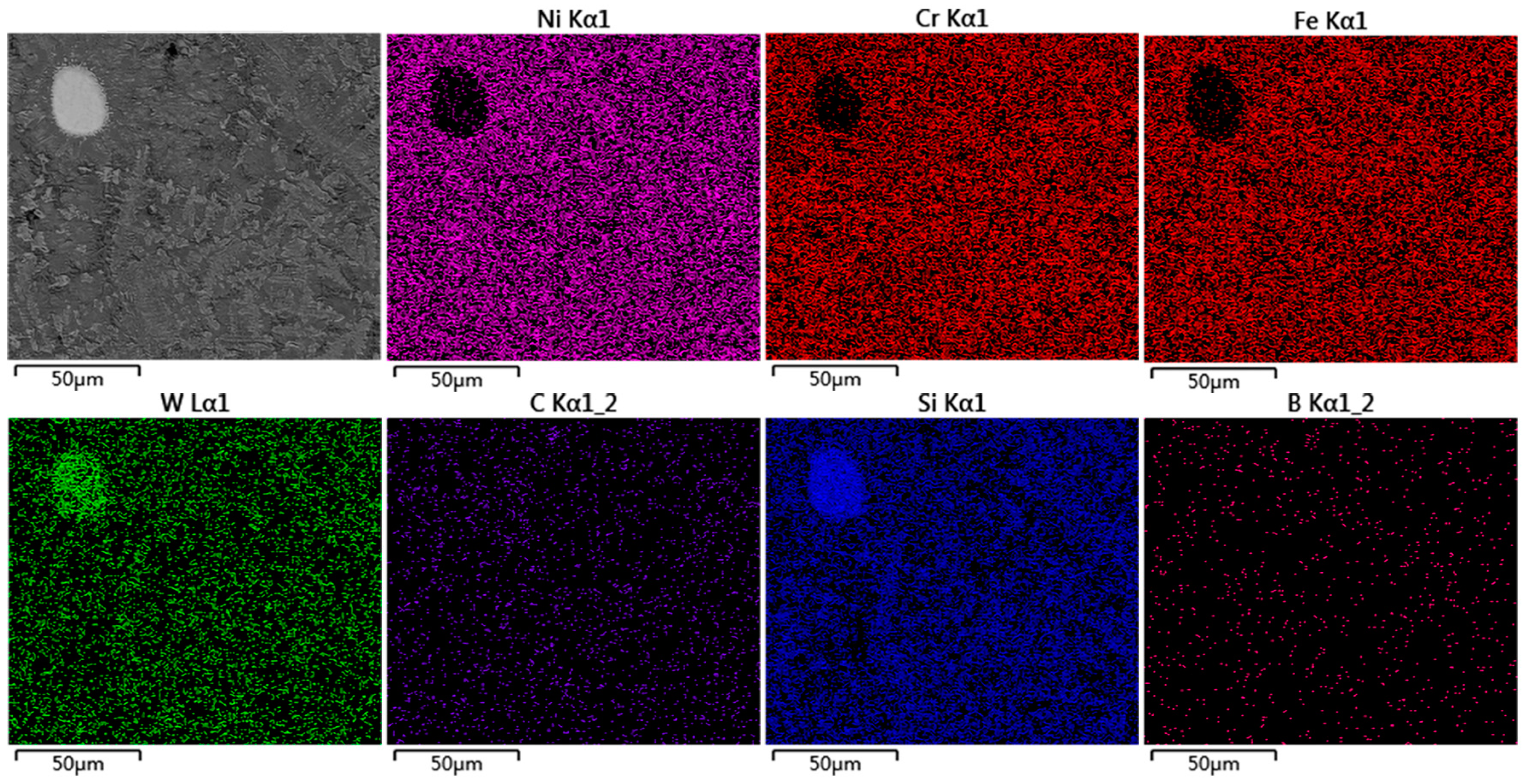Coatings 14 00649 g010