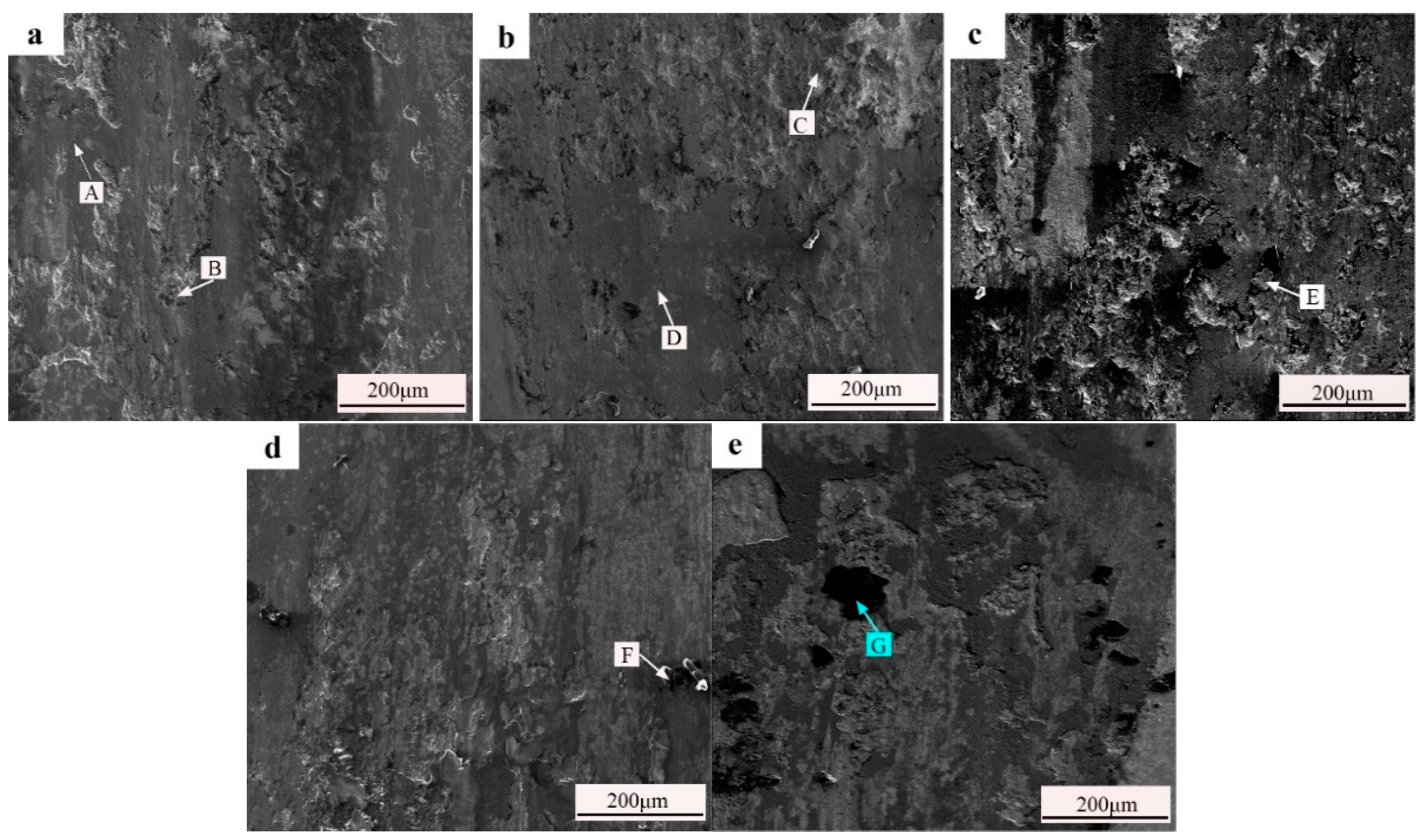 Coatings 14 00649 g014