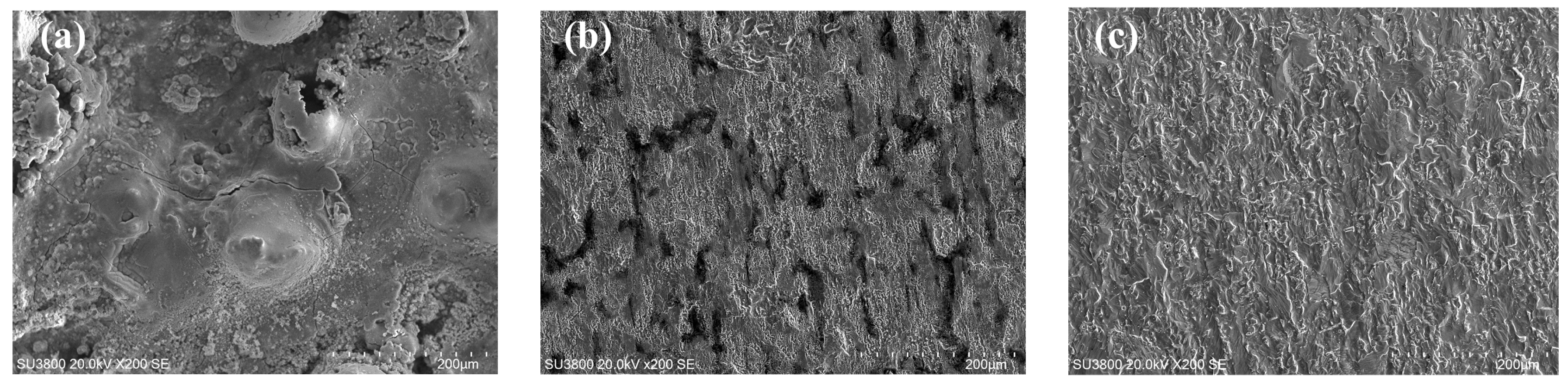 Coatings 14 00652 g007