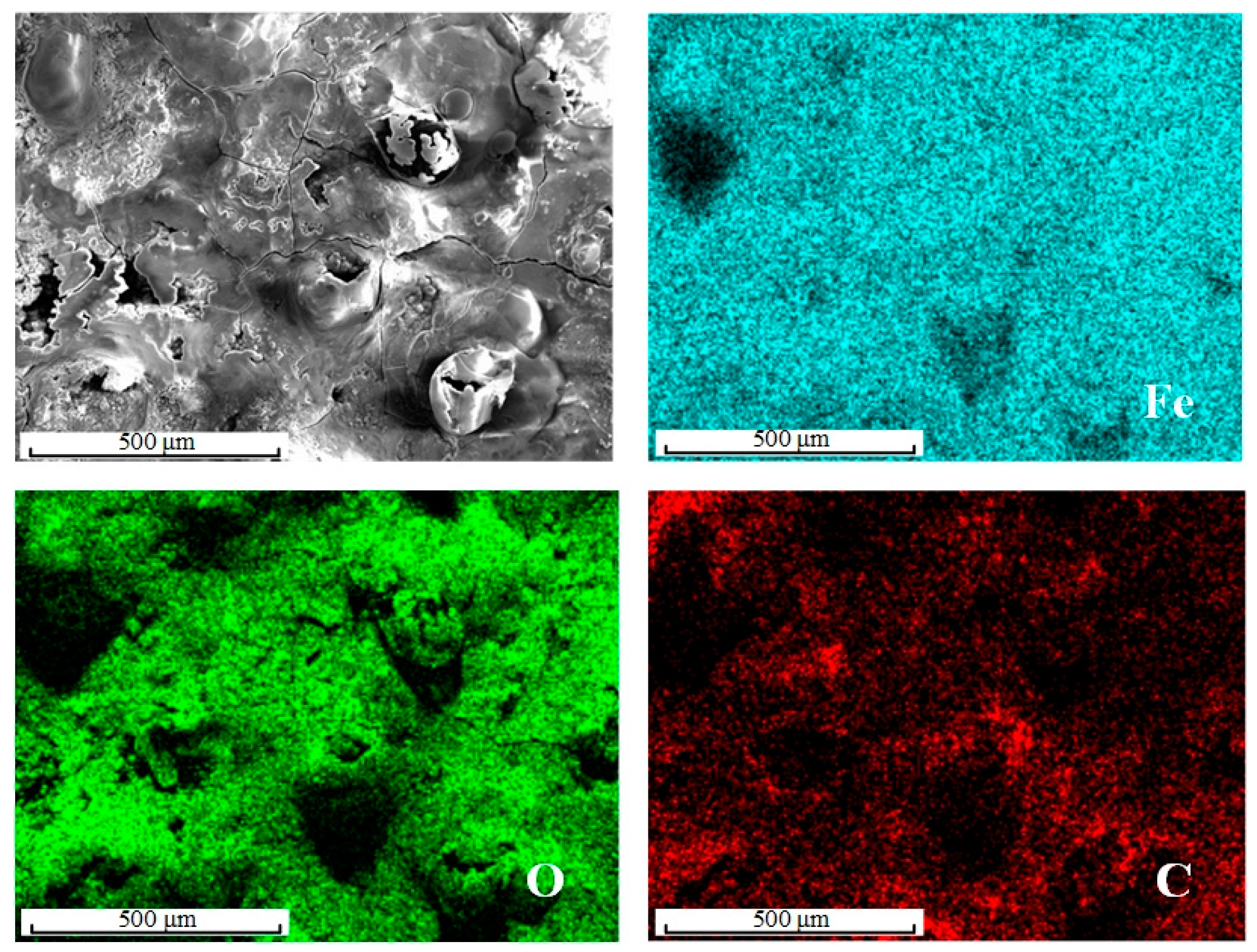 Coatings 14 00652 g008