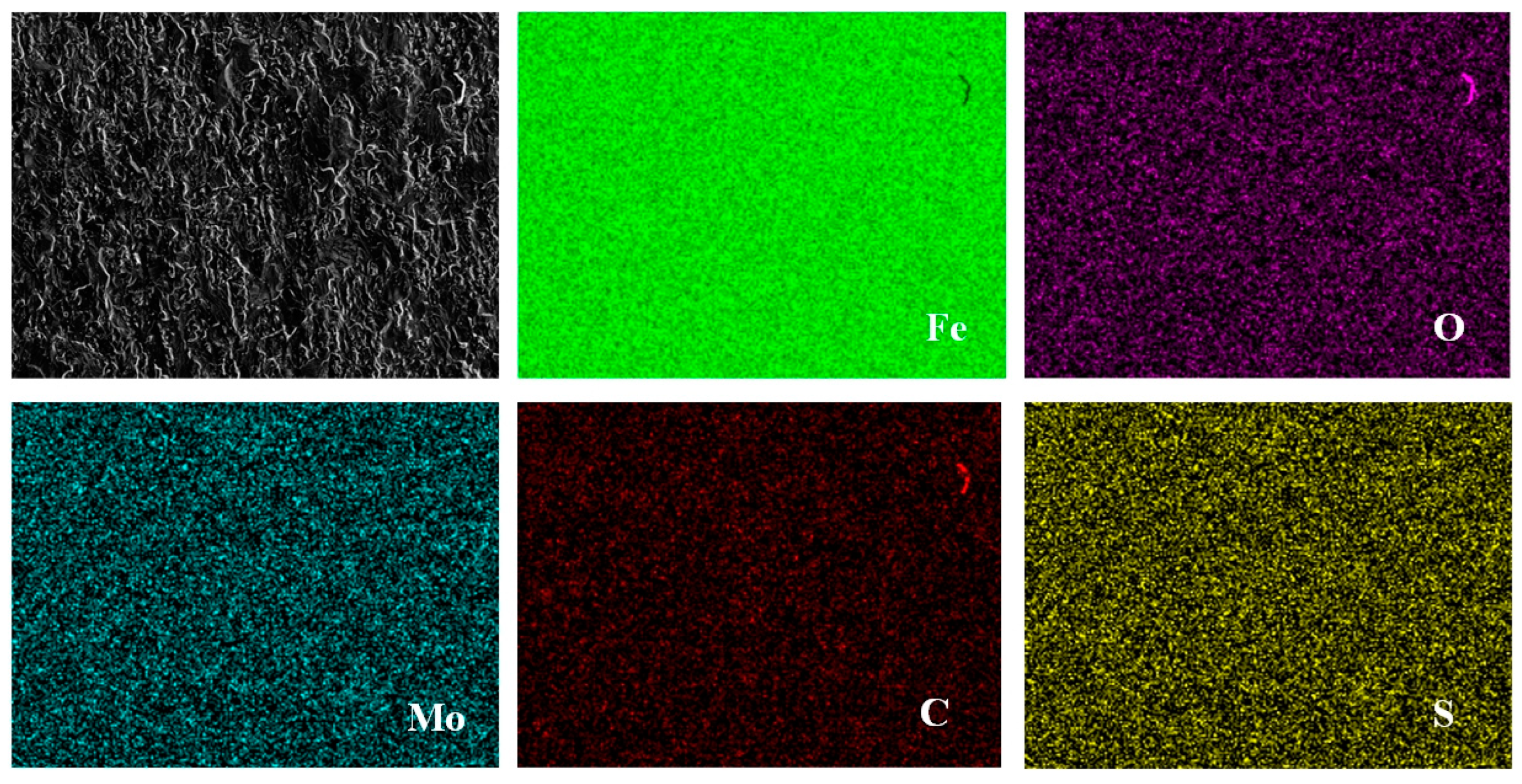 Coatings 14 00652 g009