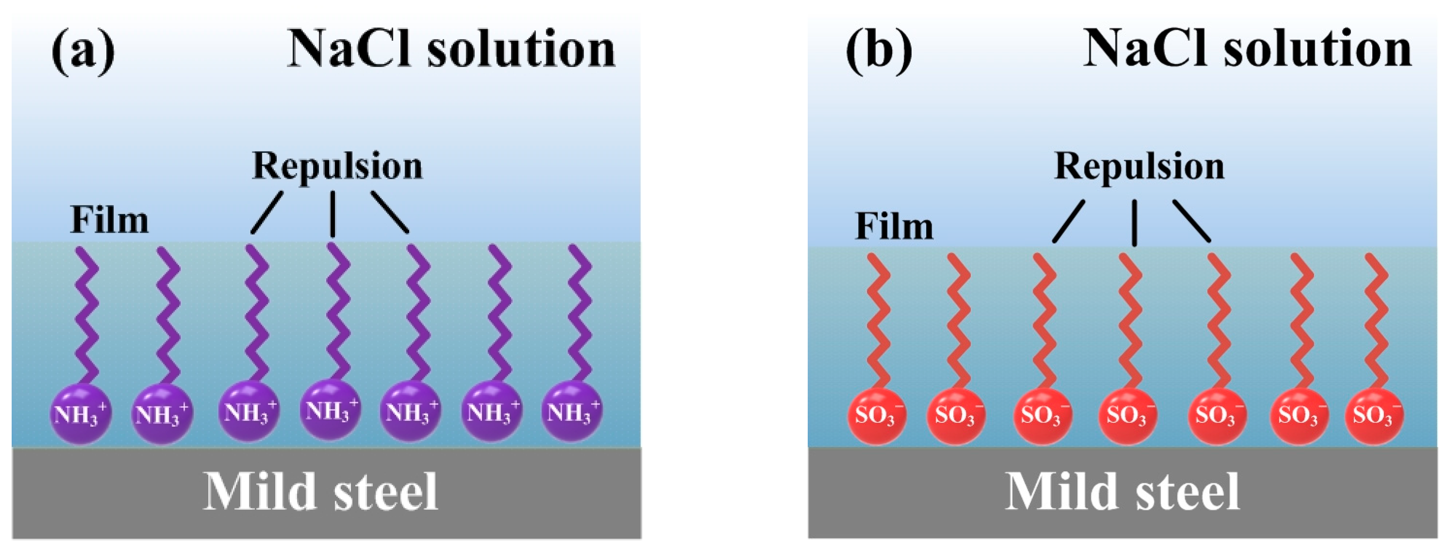 Coatings 14 00652 g010a