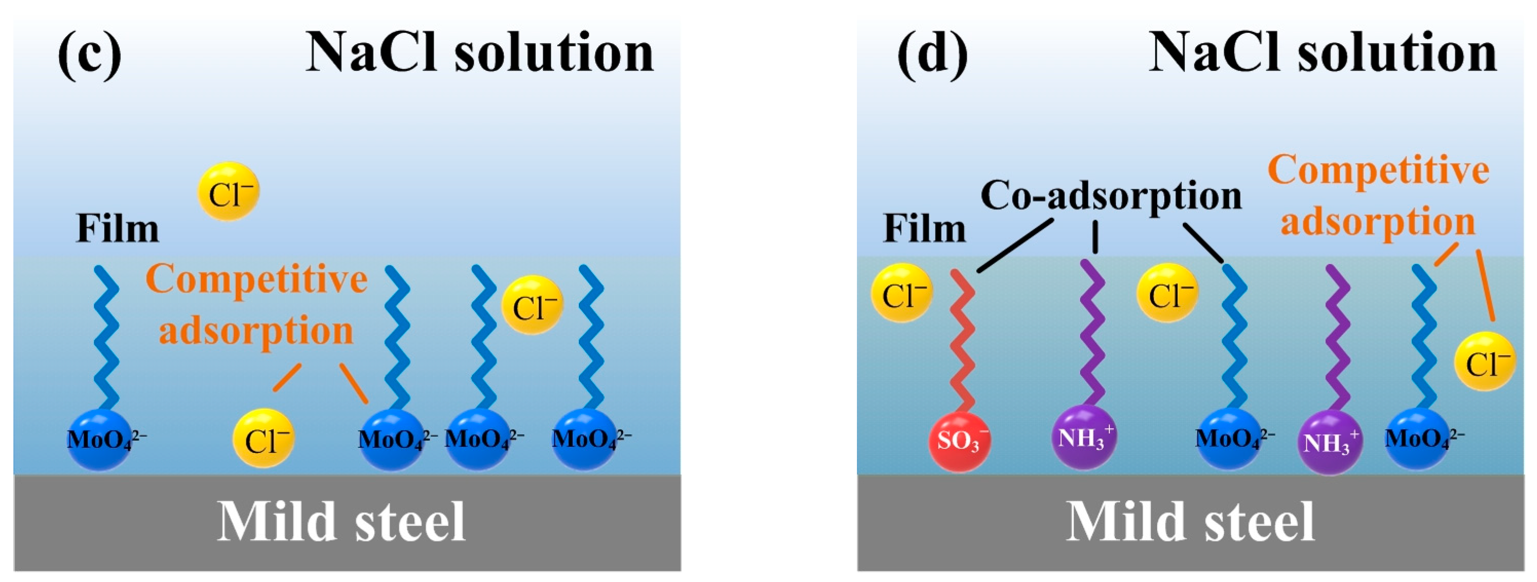 Coatings 14 00652 g010b