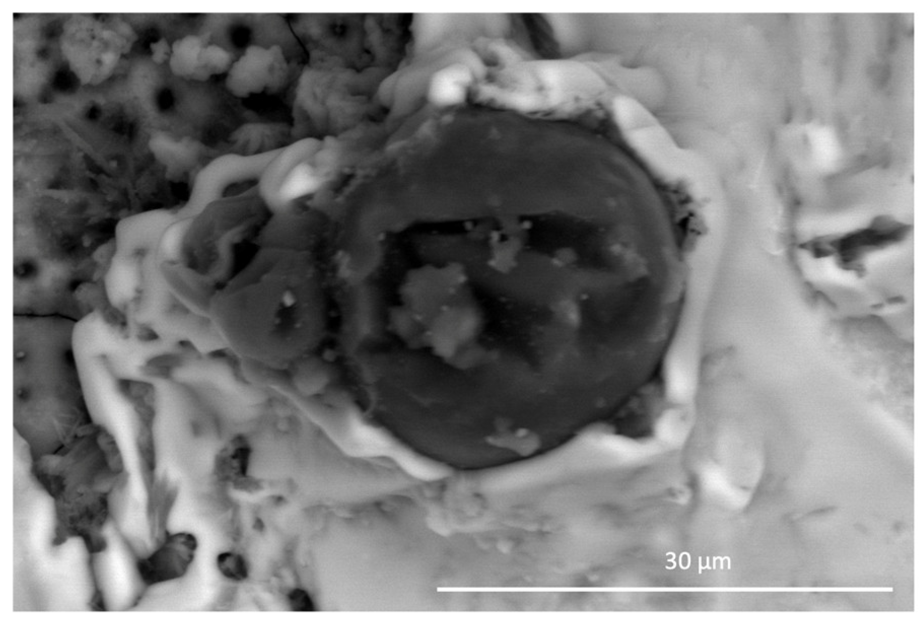 Coatings 14 00653 g001