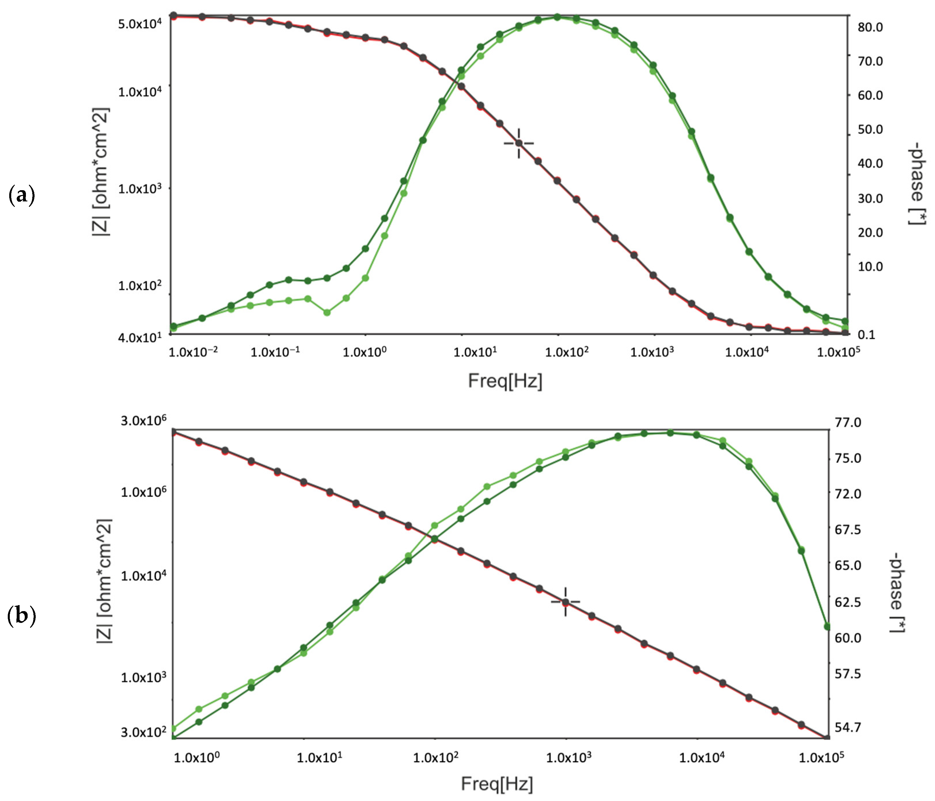 Coatings 14 00653 g004