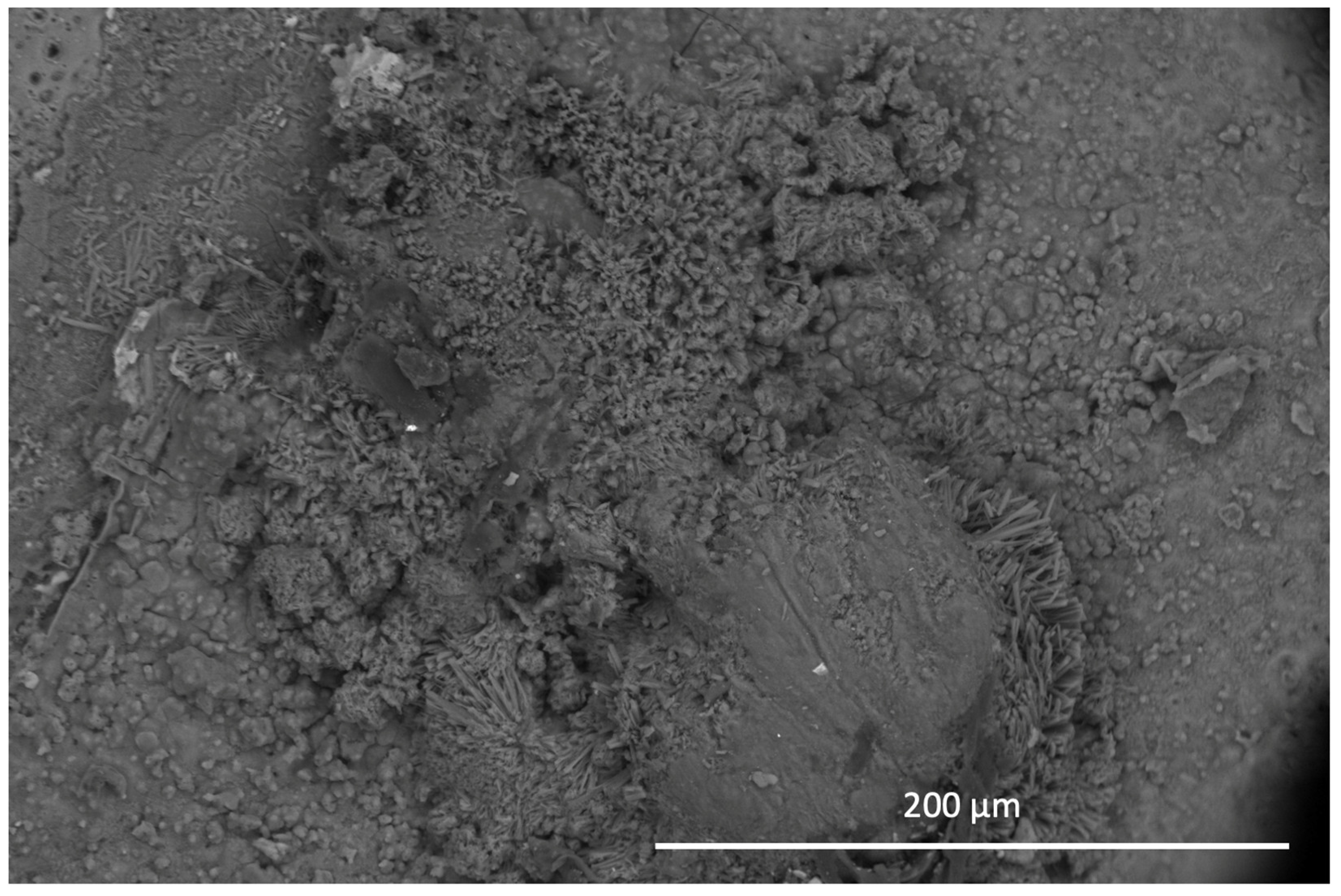 Coatings 14 00653 g006