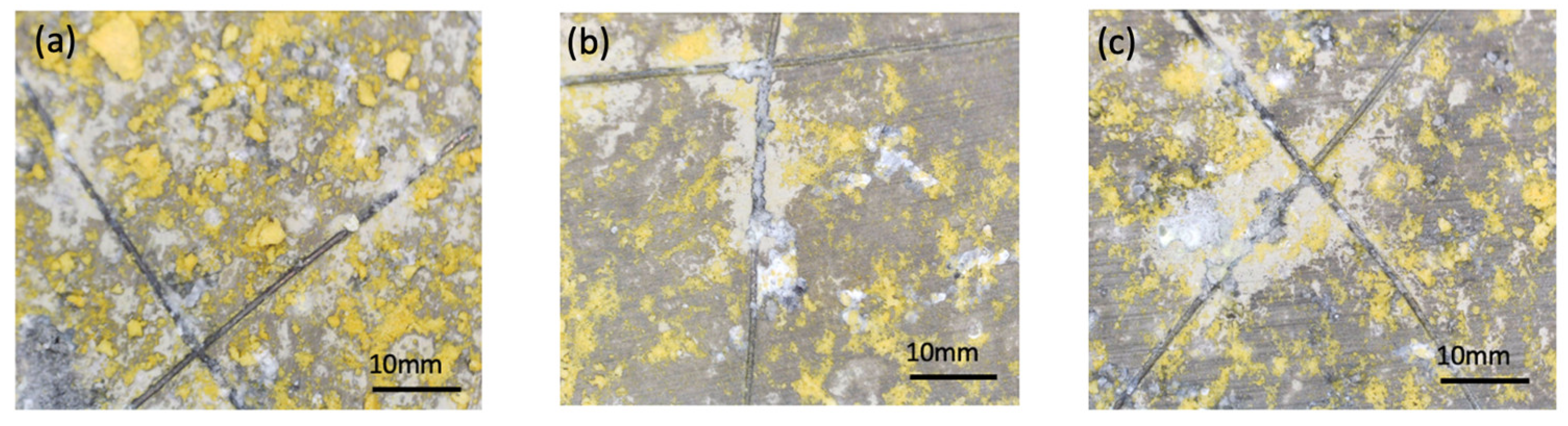 Coatings 14 00653 g008