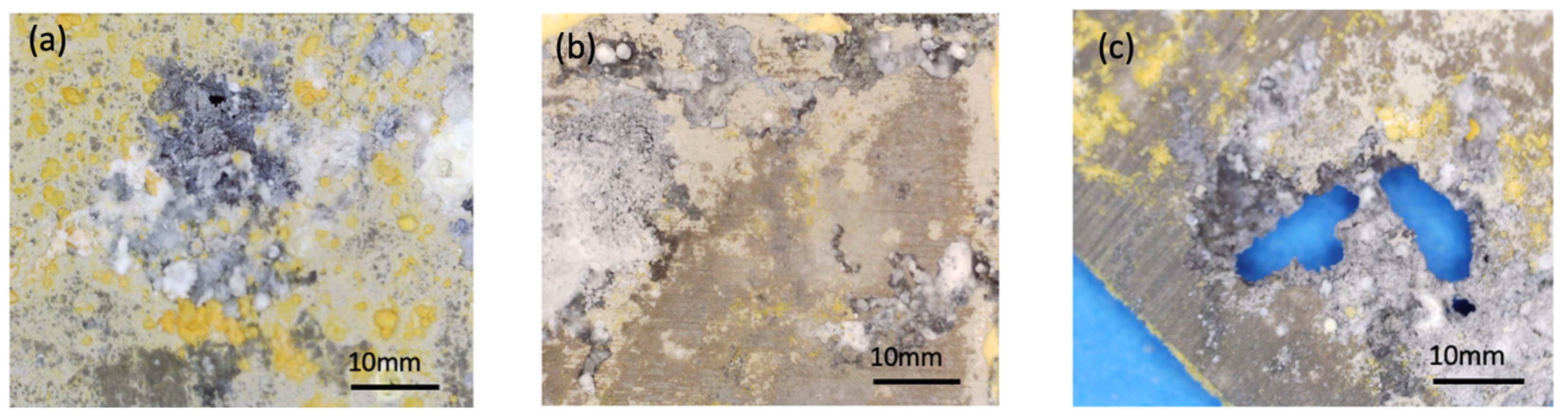 Coatings 14 00653 g009