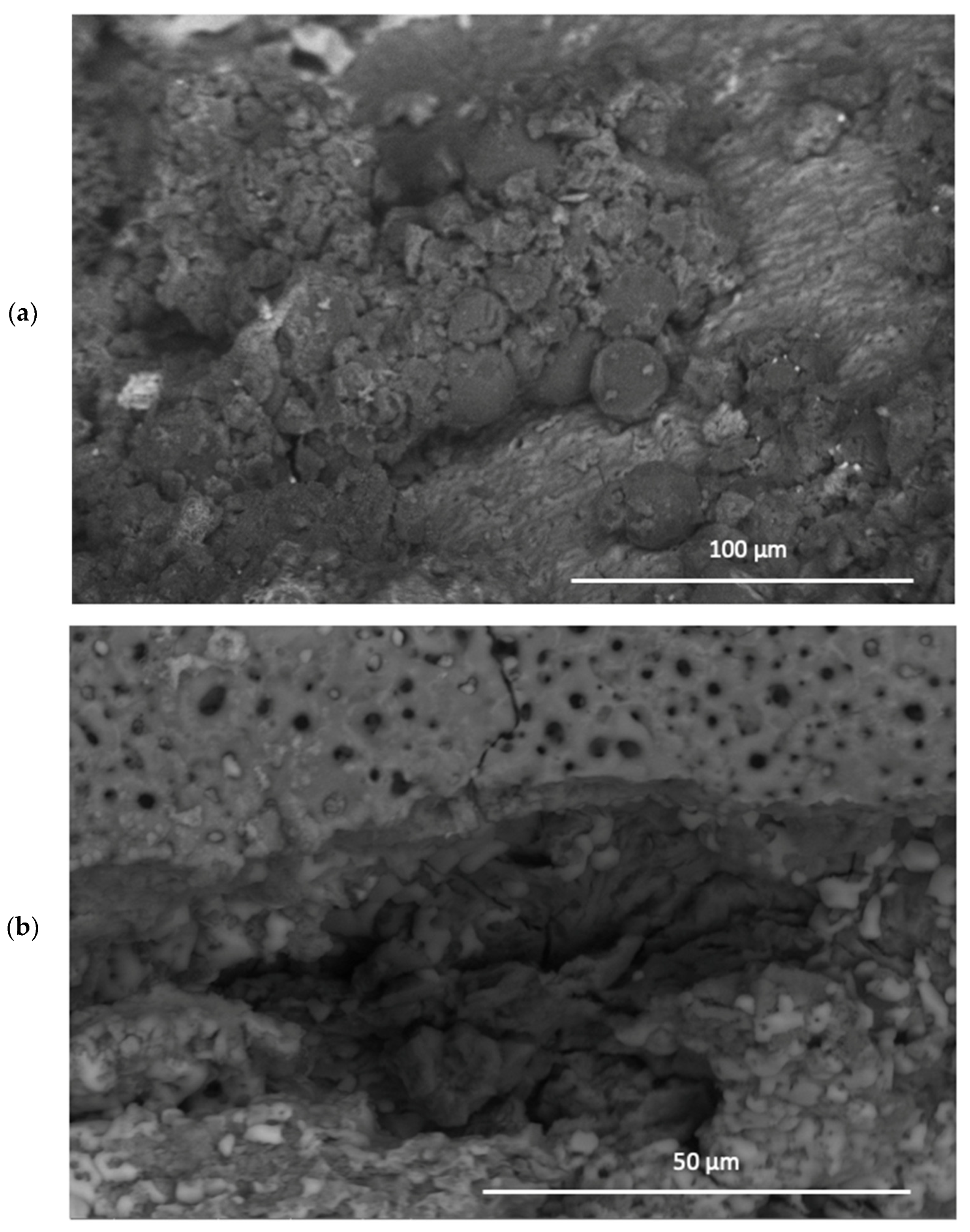 Coatings 14 00653 g010