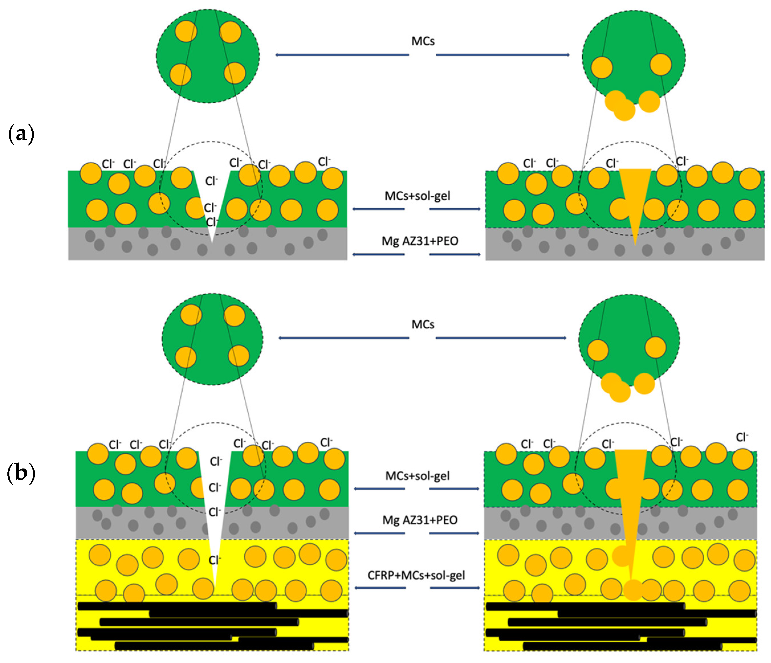 Coatings 14 00653 g011