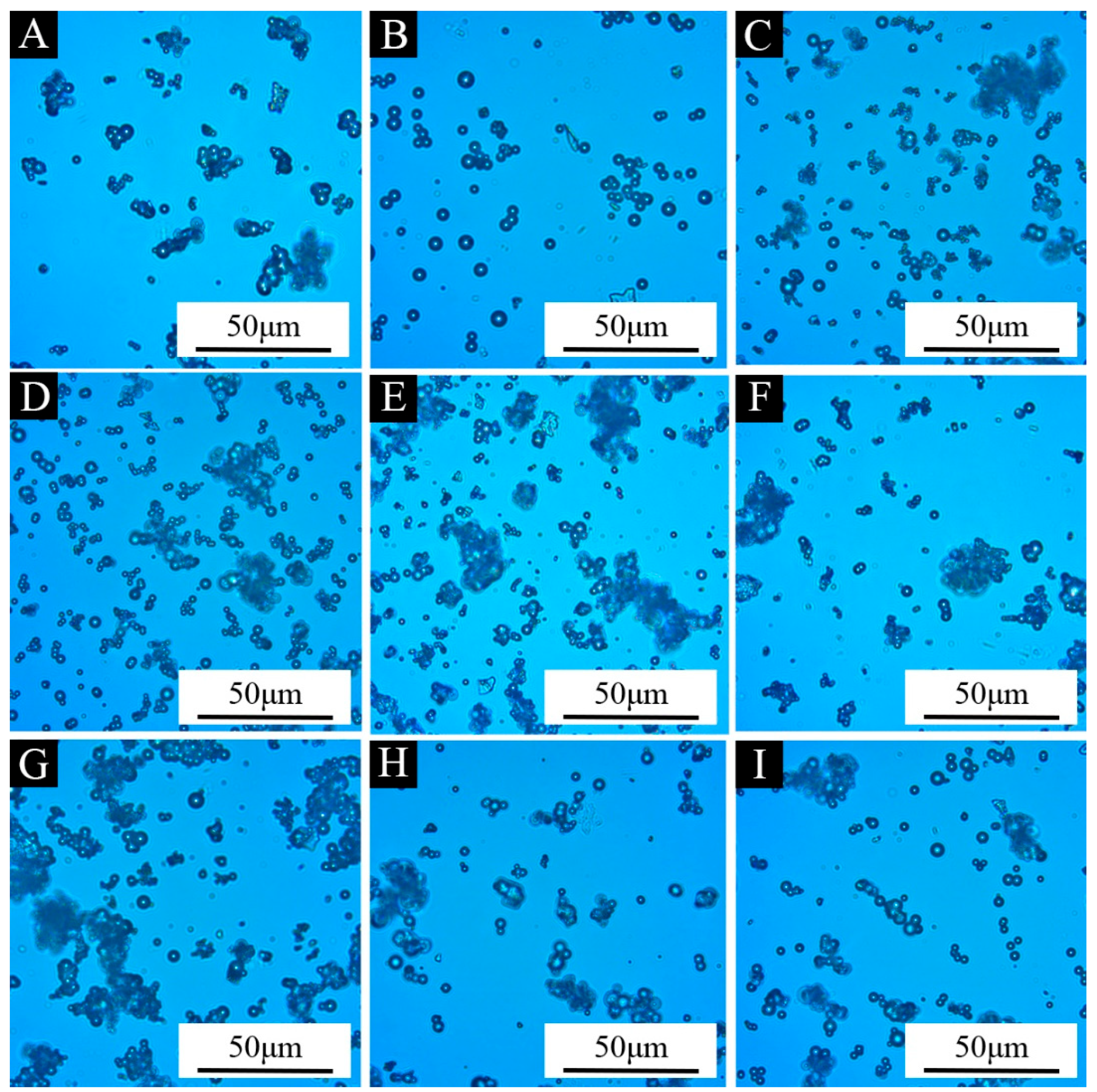 Coatings 14 00654 g003