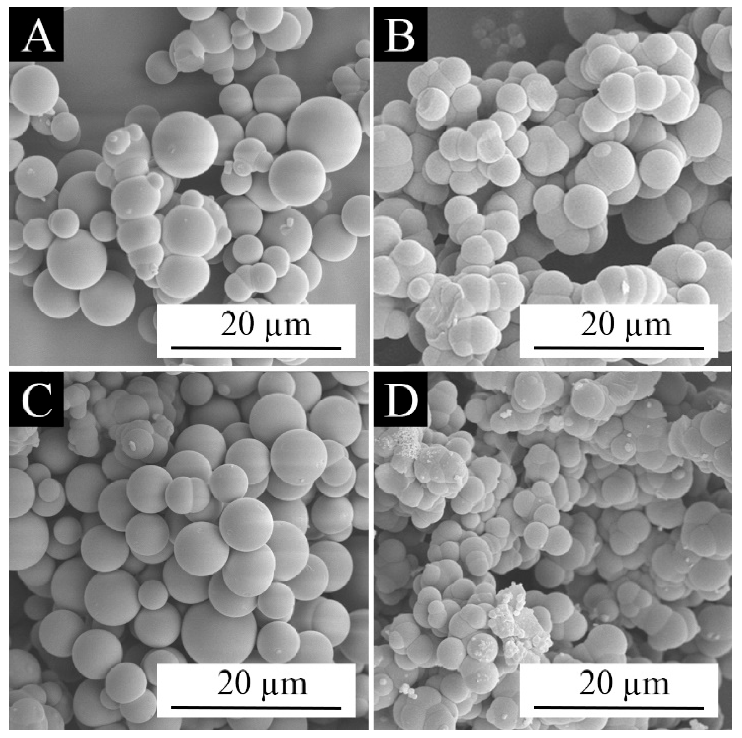 Coatings 14 00654 g005