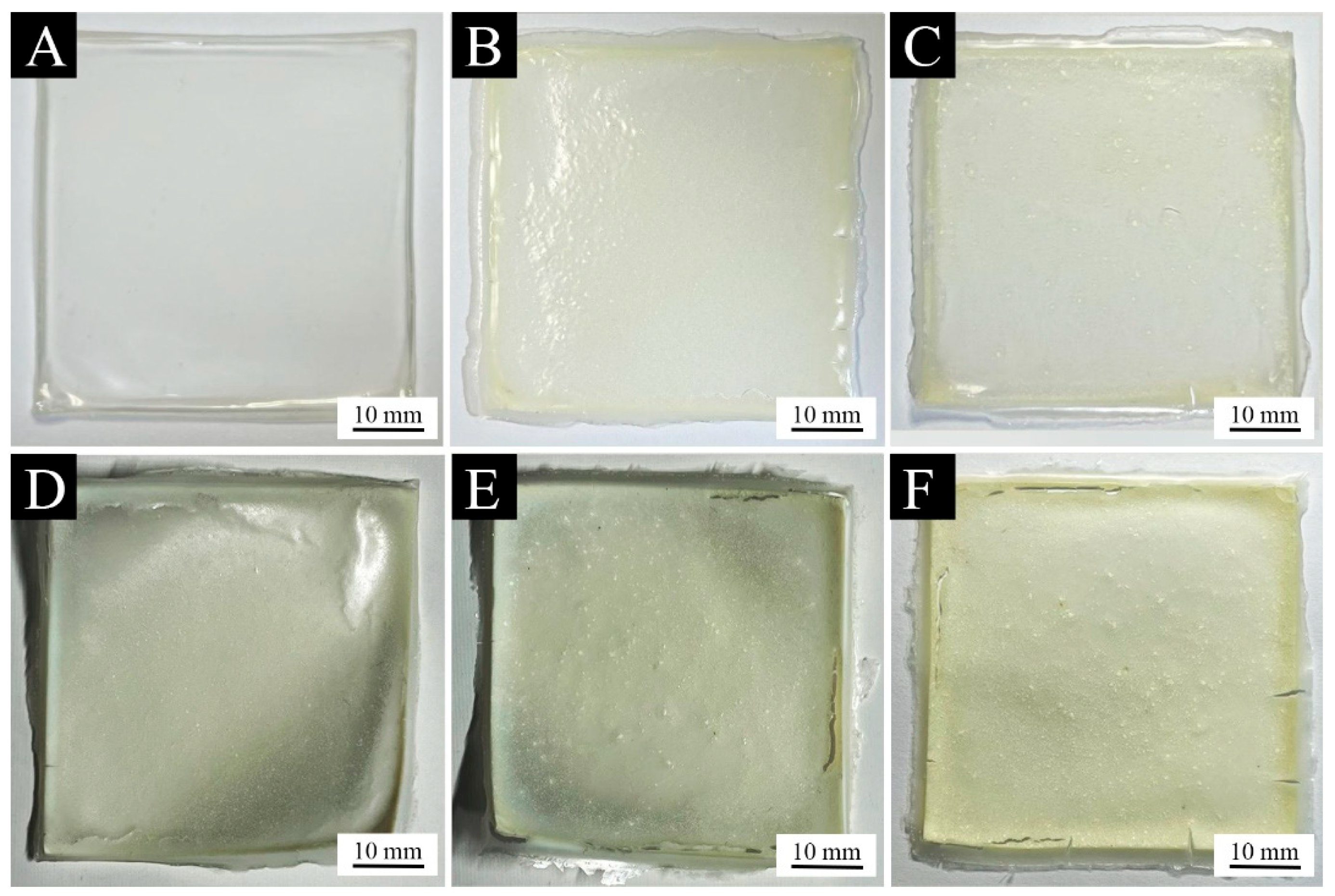 Coatings 14 00654 g007