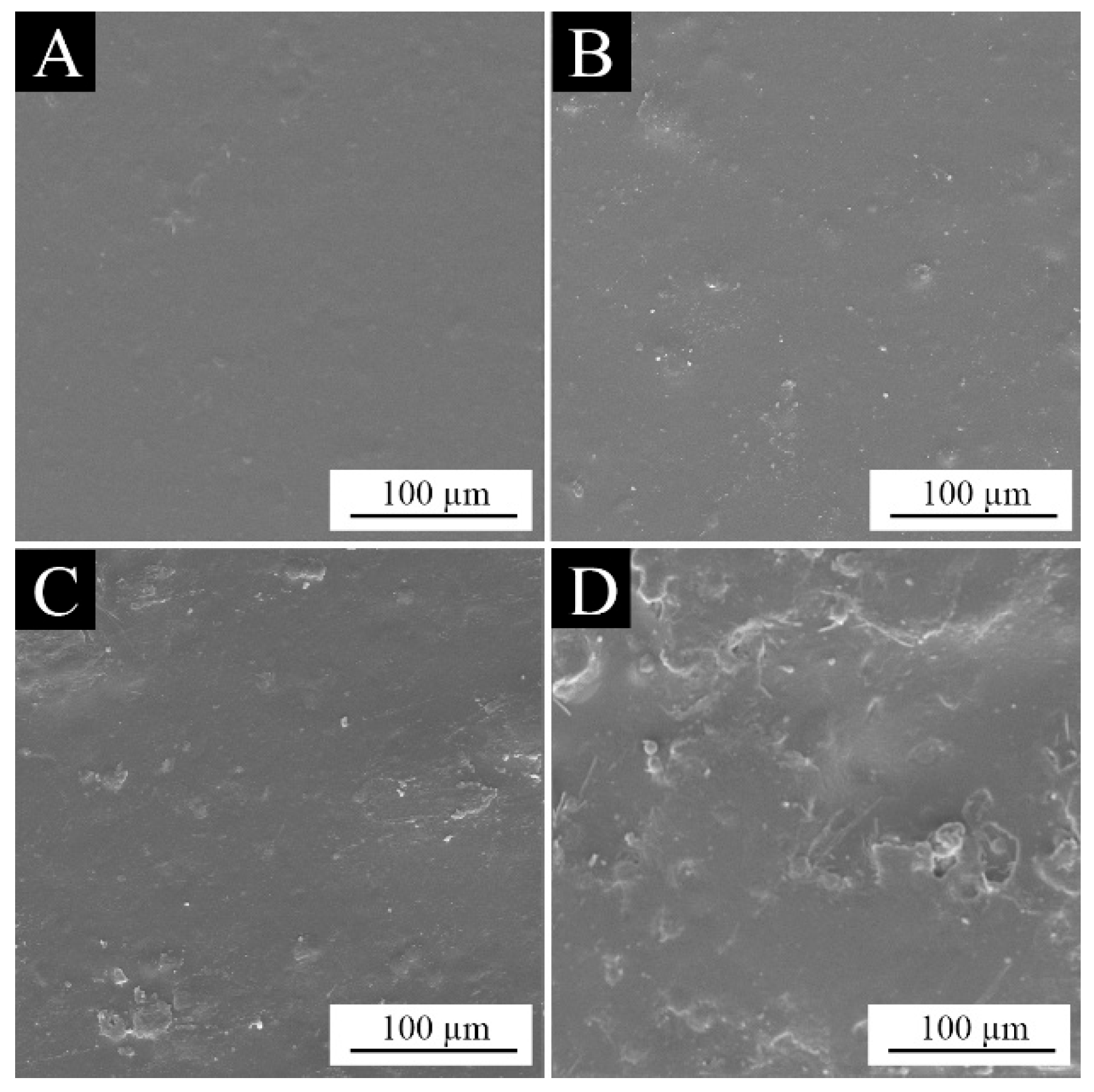 Coatings 14 00654 g008