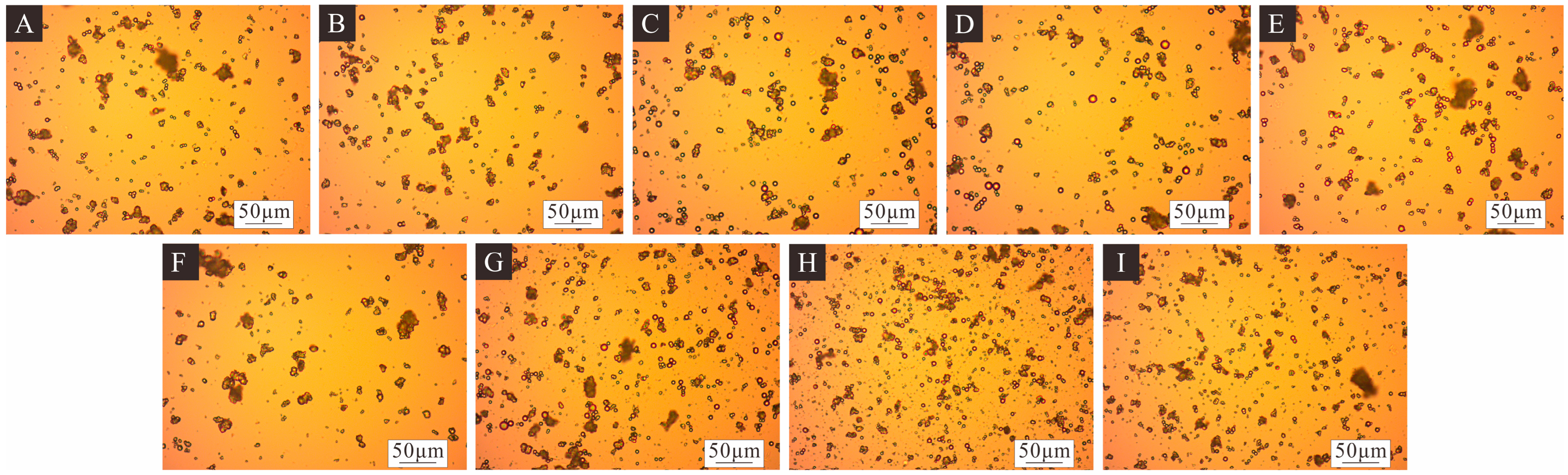 Coatings 14 00655 g001 Coatings 14 00655 g001