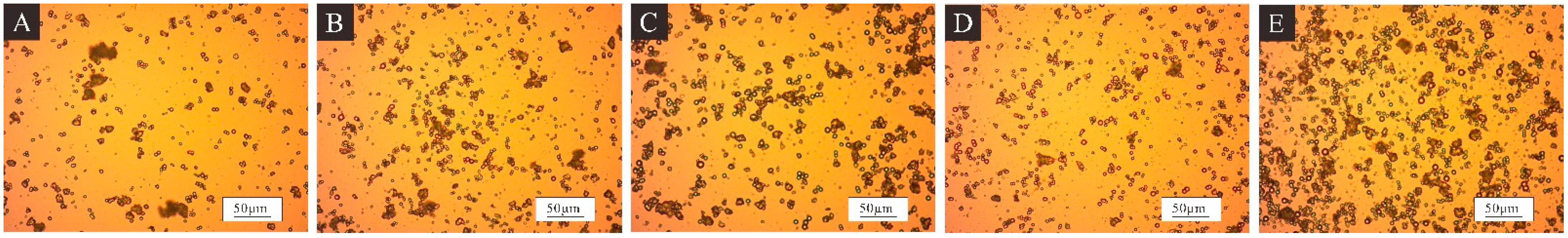 Coatings 14 00655 g002 Coatings 14 00655 g002