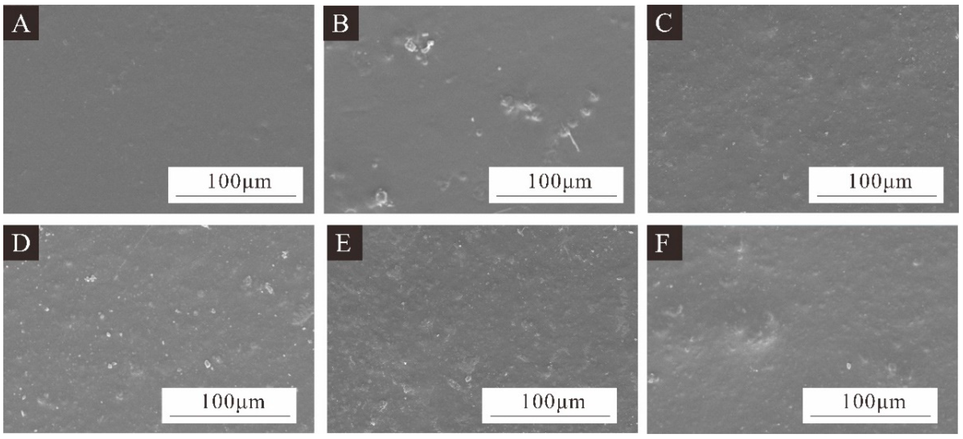 Coatings 14 00655 g005 Coatings 14 00655 g005