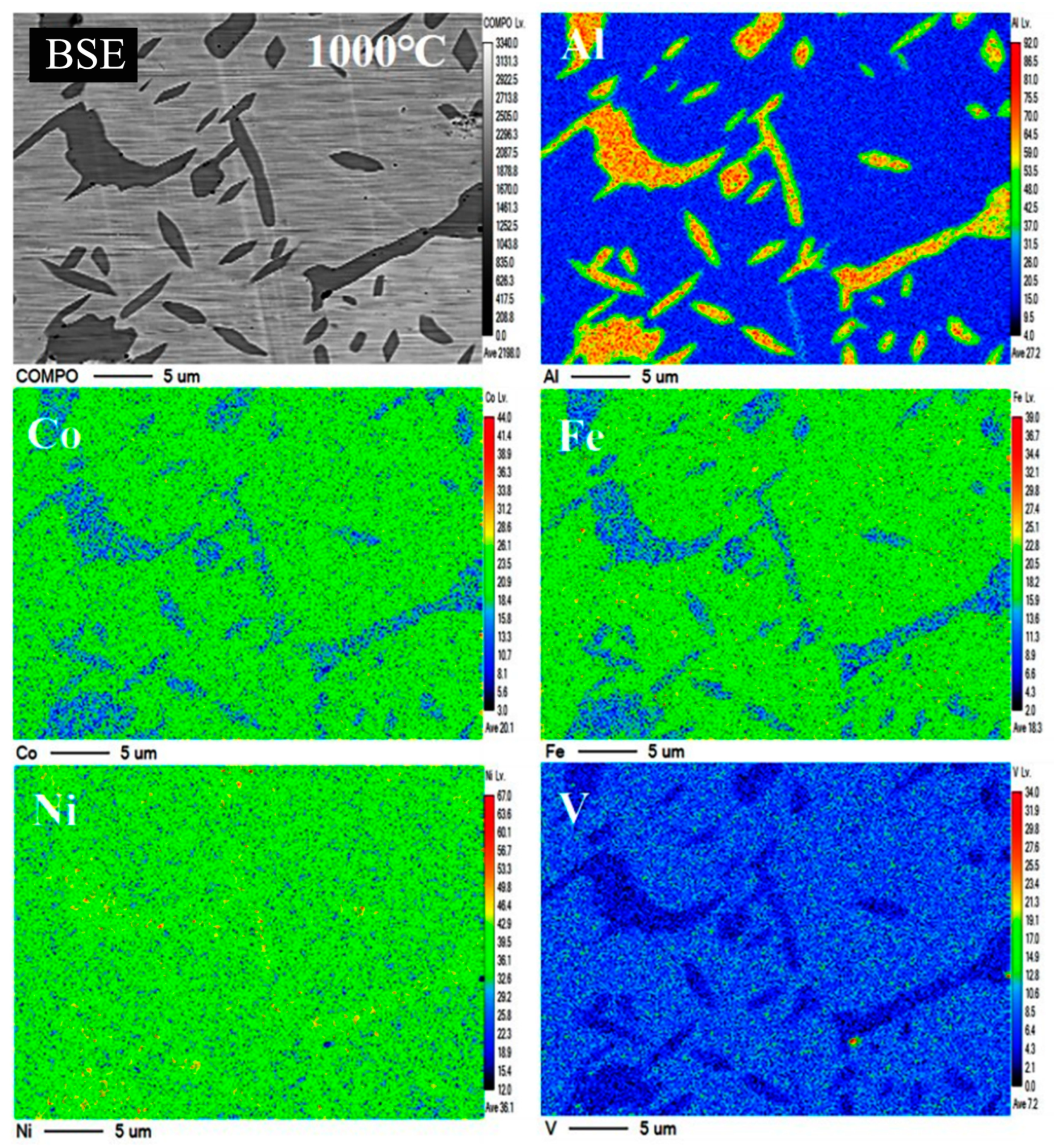 Coatings 14 00658 g004