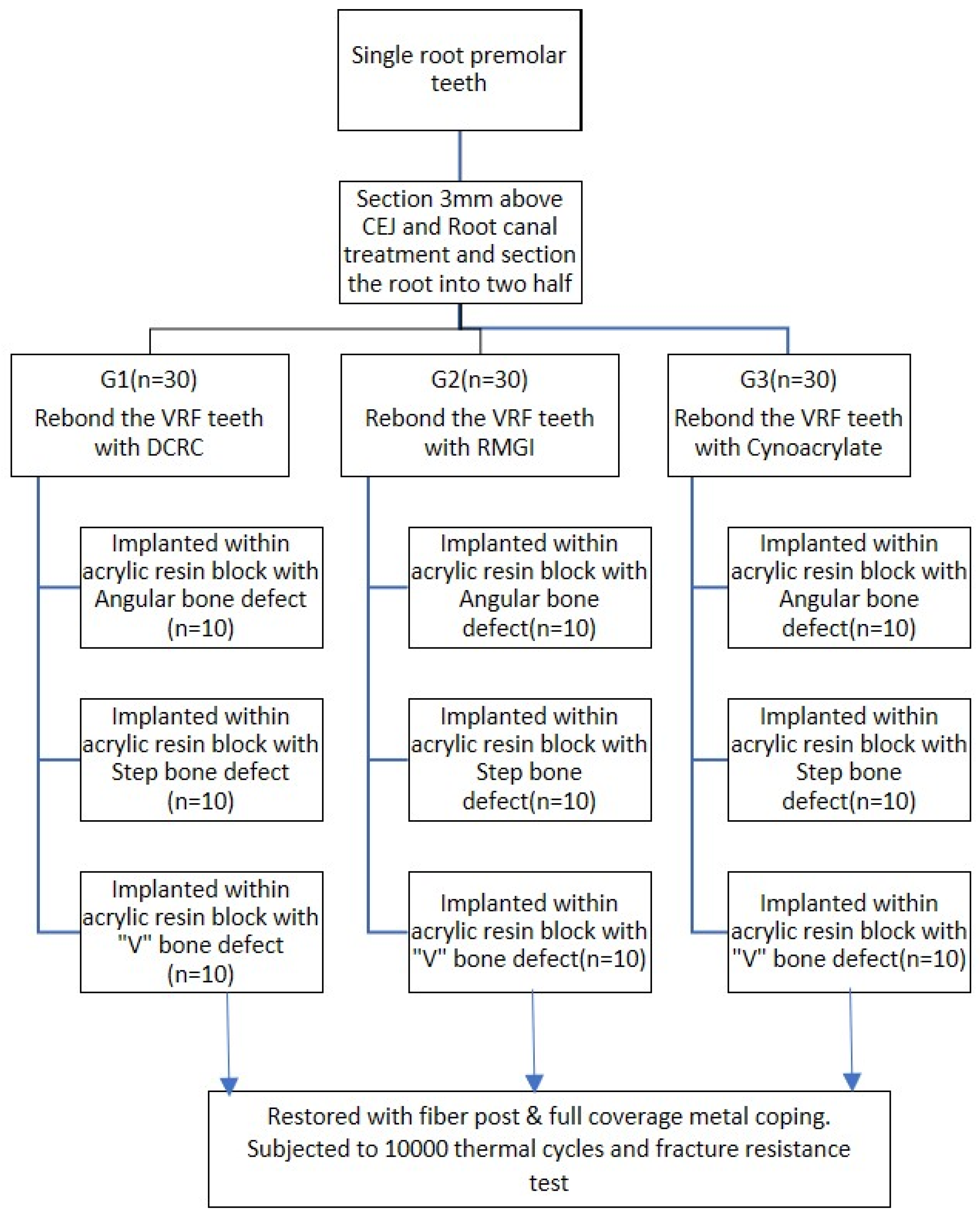 Coatings 14 00661 g002