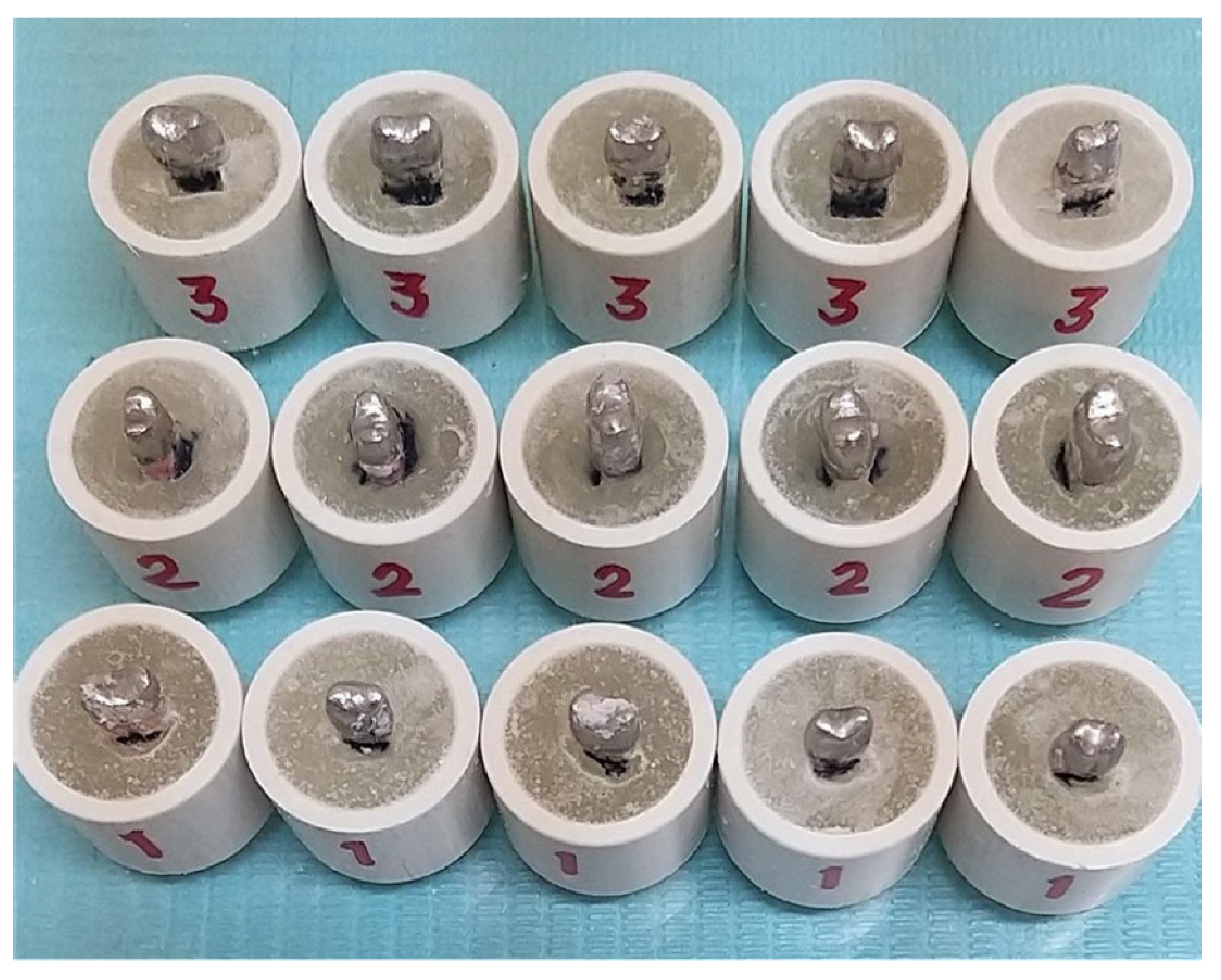 Coatings 14 00661 g003