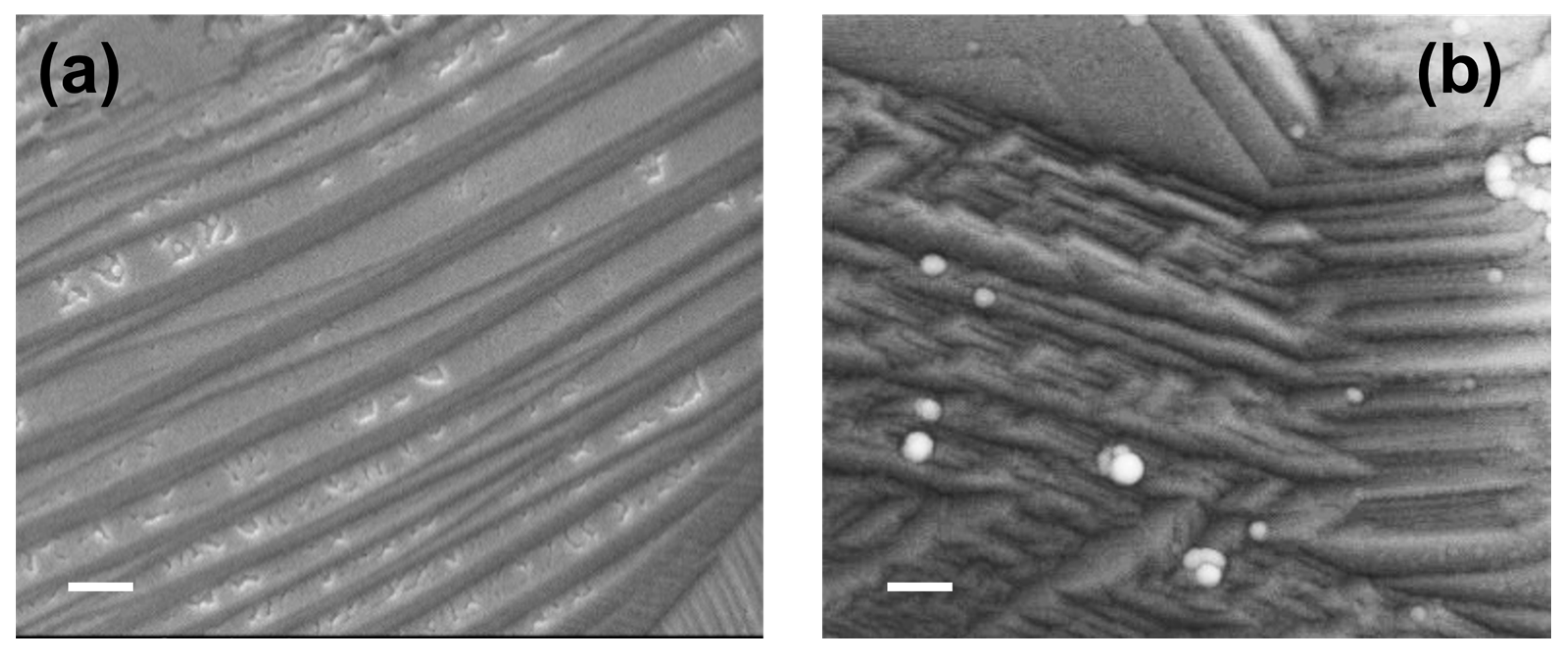 Coatings 14 00662 g006